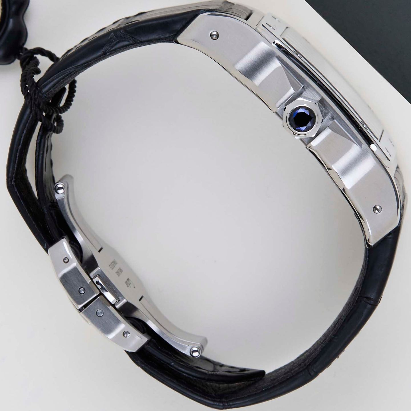 Cartier Santos 100 W20073X8 - (7/8)