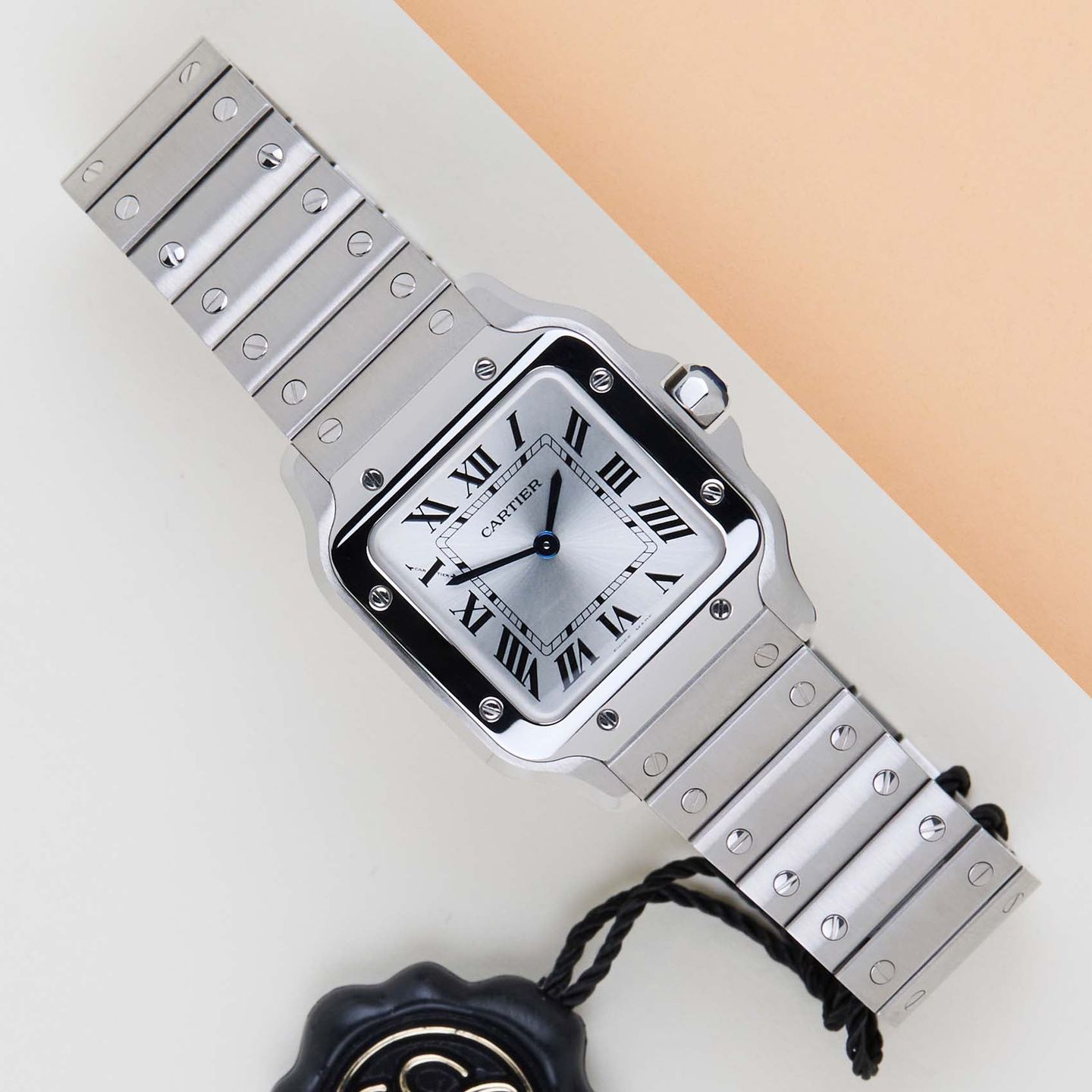 Cartier Santos Dumont WSSA0082 - (1/8)