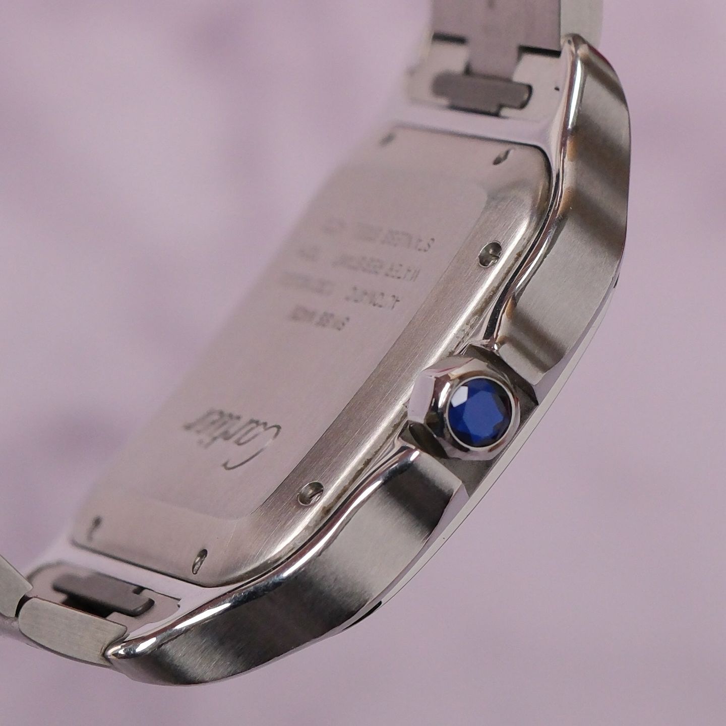 Cartier Santos WSSA0009 - (5/8)