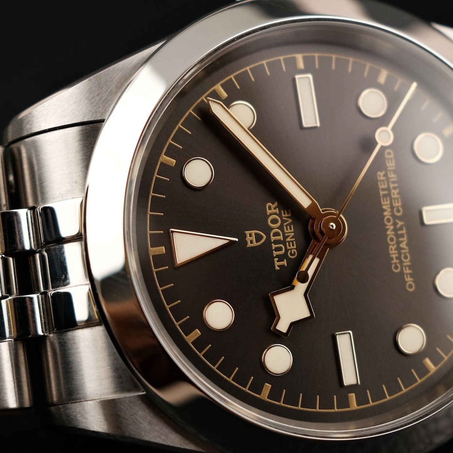 Tudor Black Bay 79660 (2023) - Grijs wijzerplaat 39mm Staal (3/8)