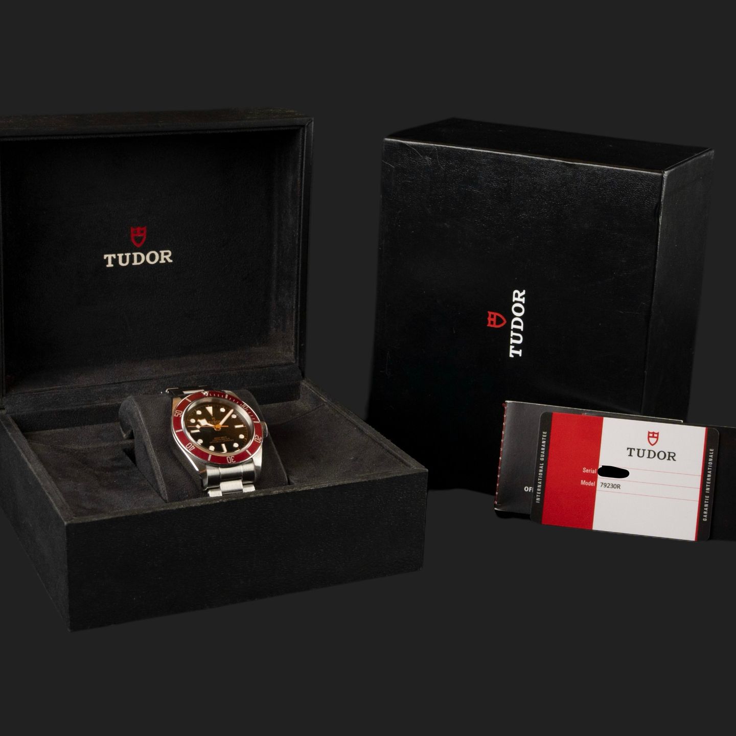 Tudor Black Bay 79230R - (8/8)