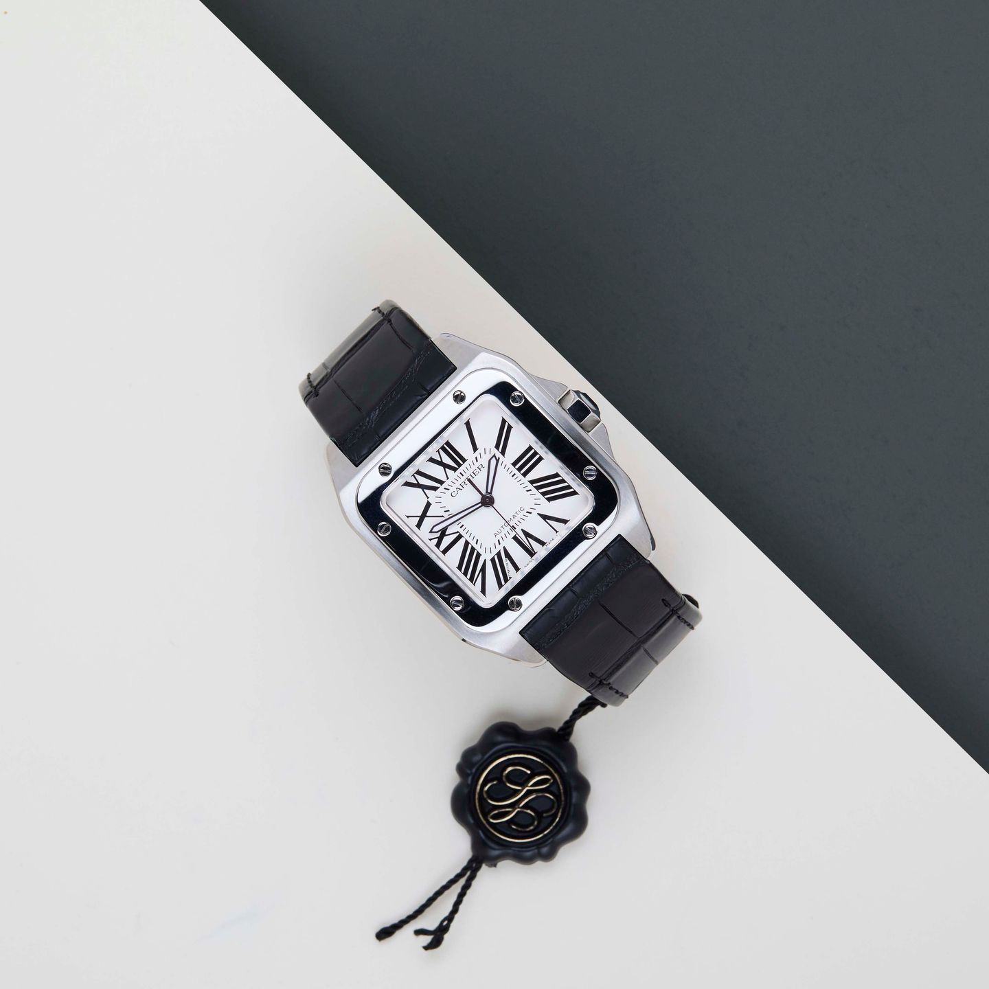 Cartier Santos 100 W20073X8 - (2/8)