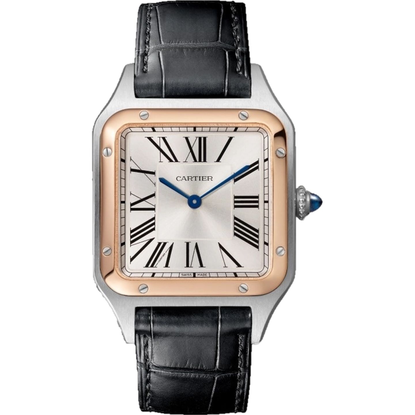 Cartier Santos Dumont W2SA0037 - (1/1)