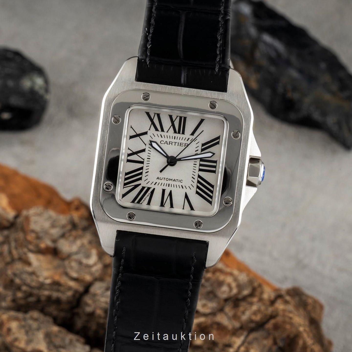 Cartier Santos 100 W20106X8 - (1/8)