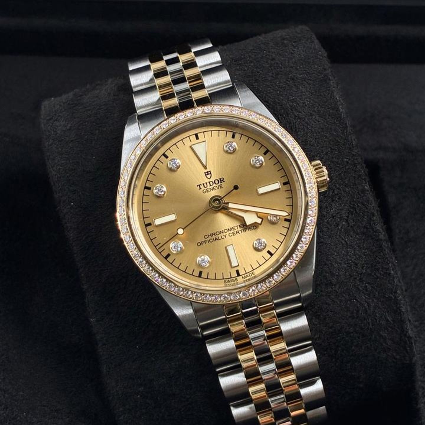 Tudor Unknown m79653 - (3/8)
