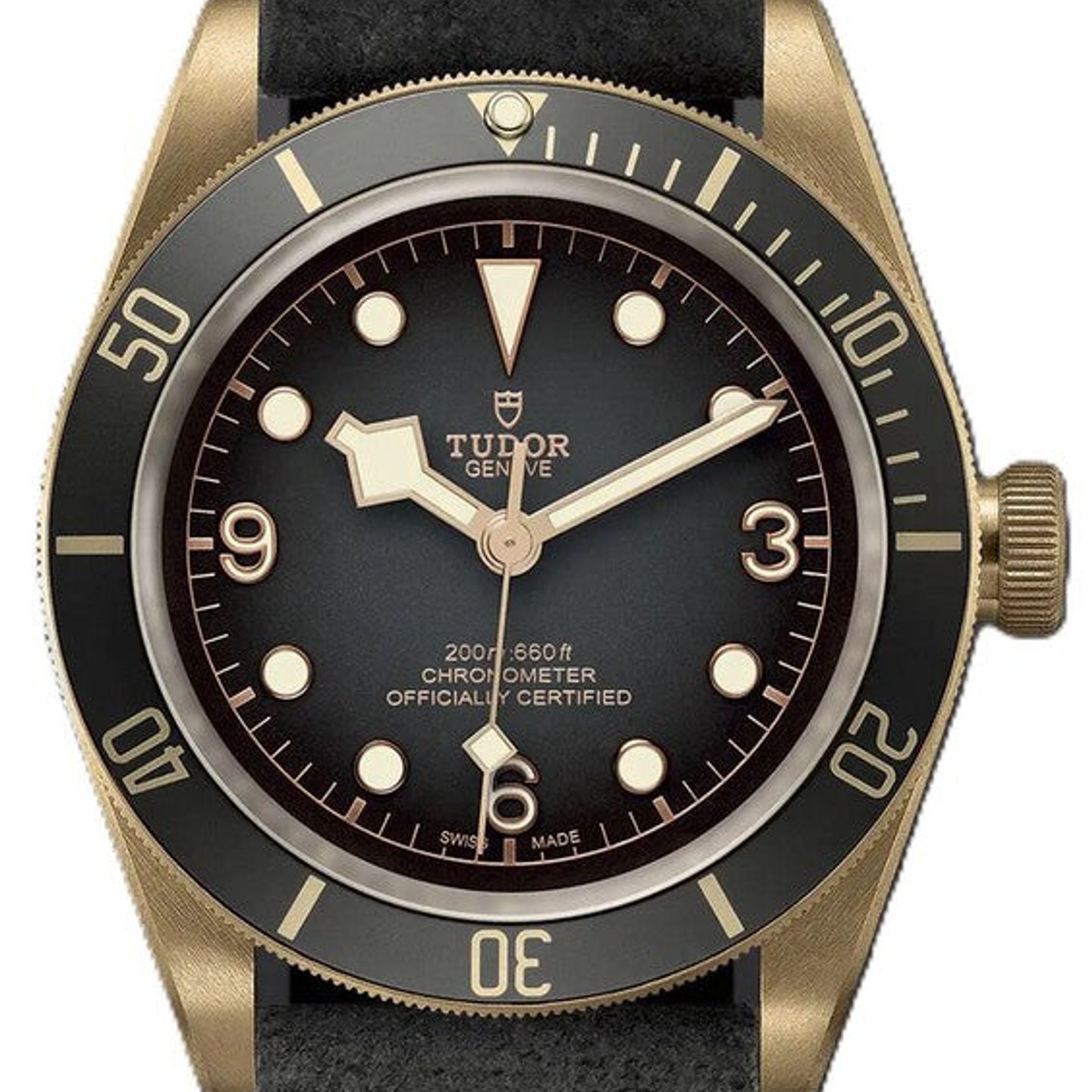 Tudor Black Bay Bronze 79250BA (2026) - Grey dial 43 mm Bronze case (1/1)