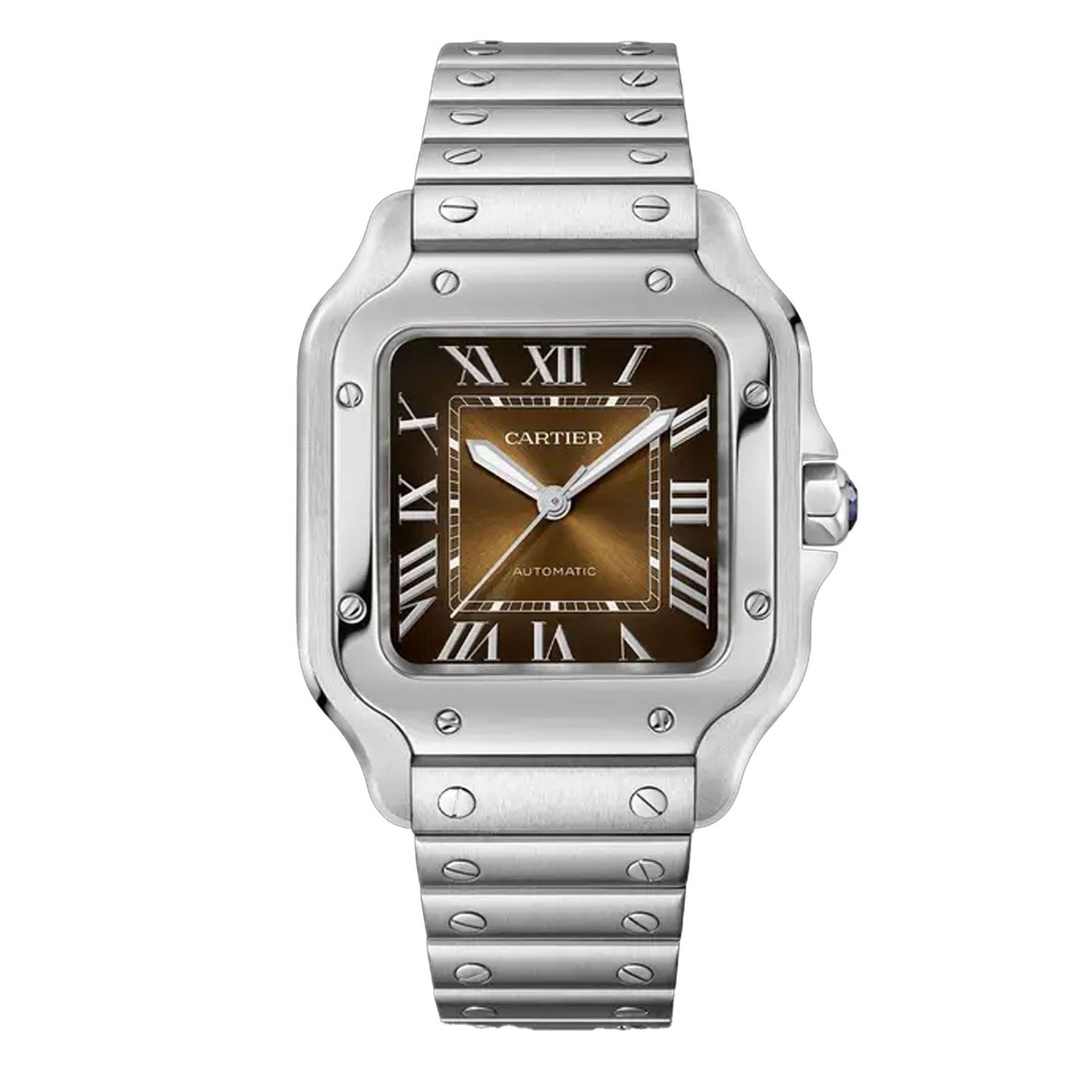 Cartier Santos WSSA0065 - (1/4)