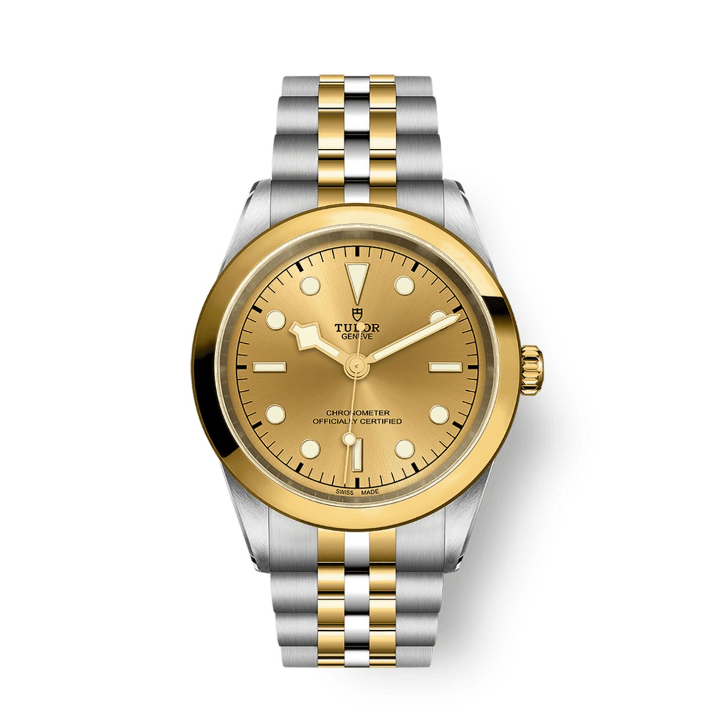 Tudor Black Bay S&G 79683 - (1/1)