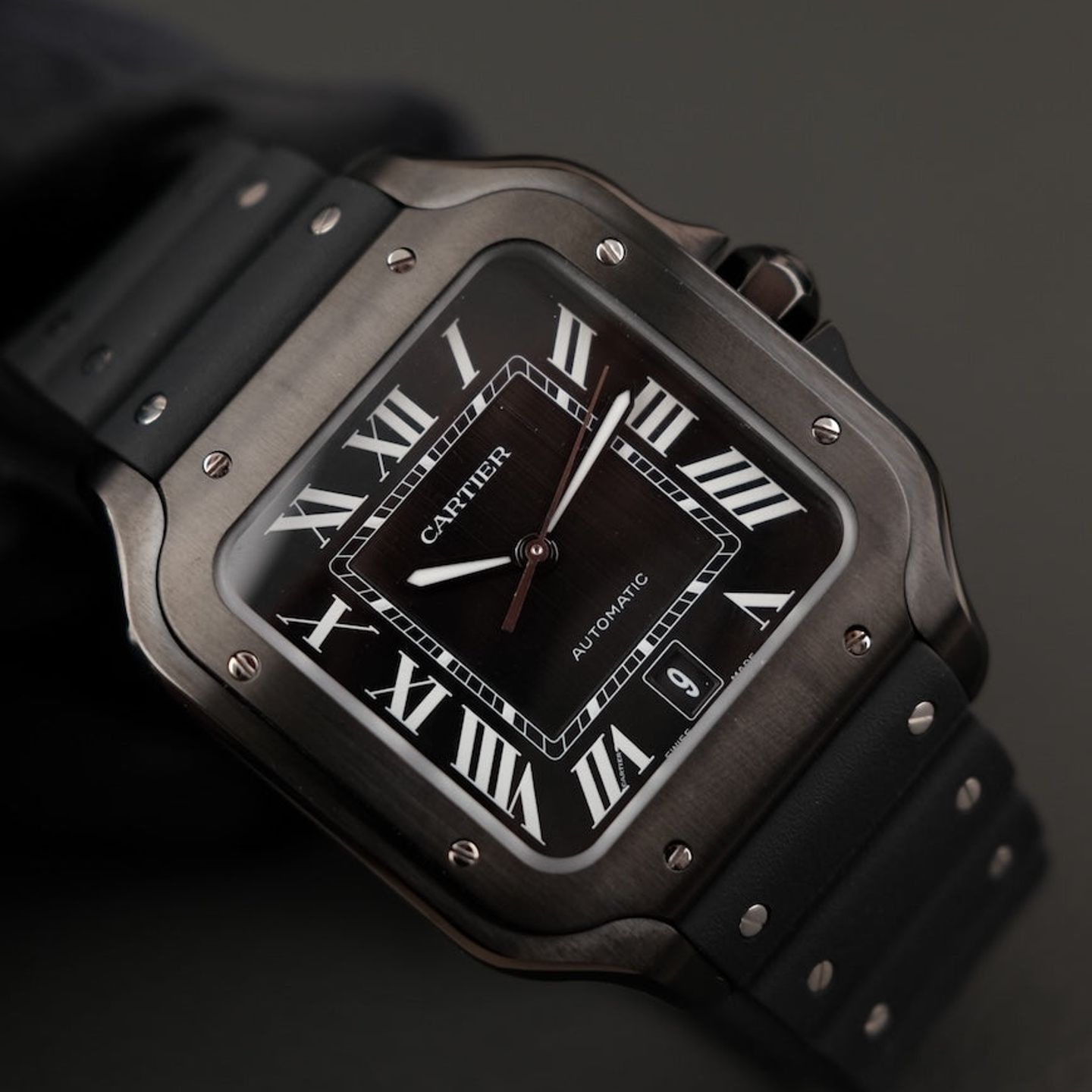 Cartier Santos WSSA0039 - (4/8)