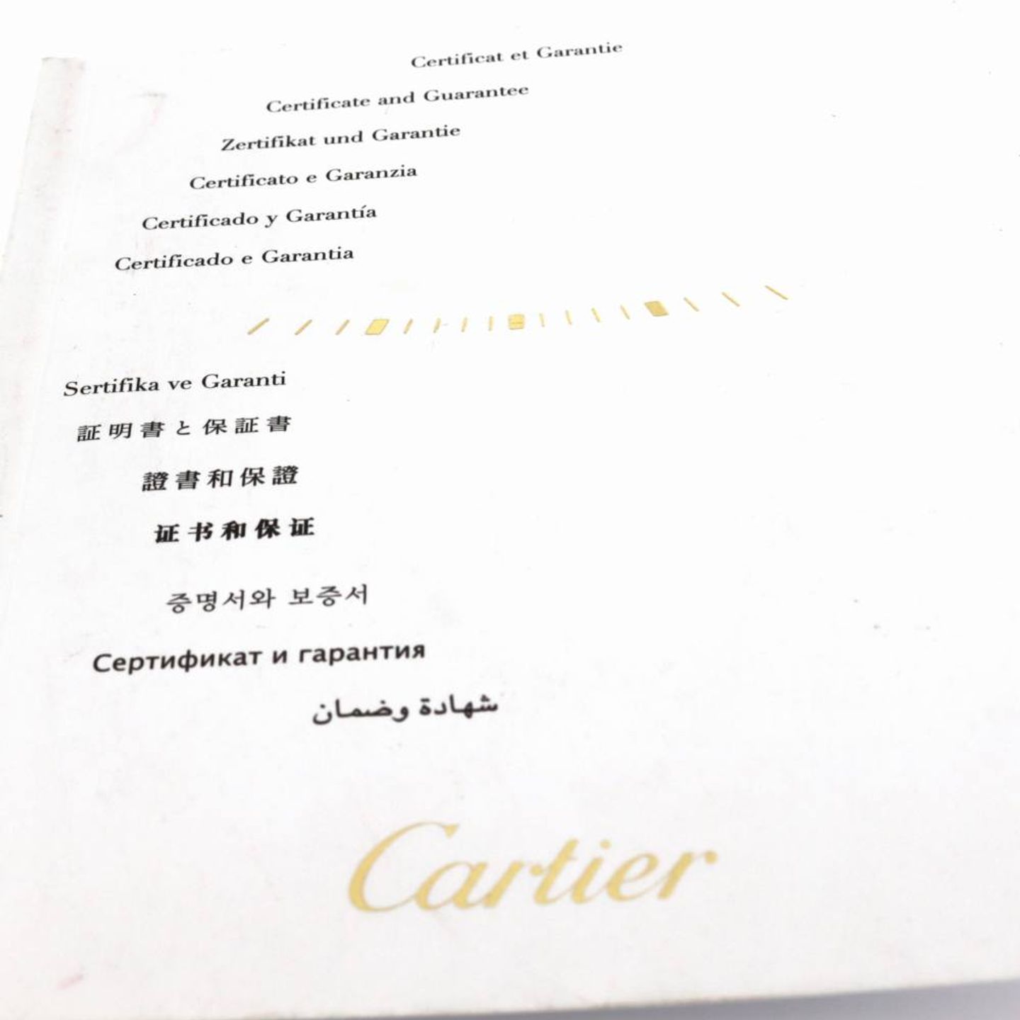 Cartier Santos WSSA0010 - (6/7)