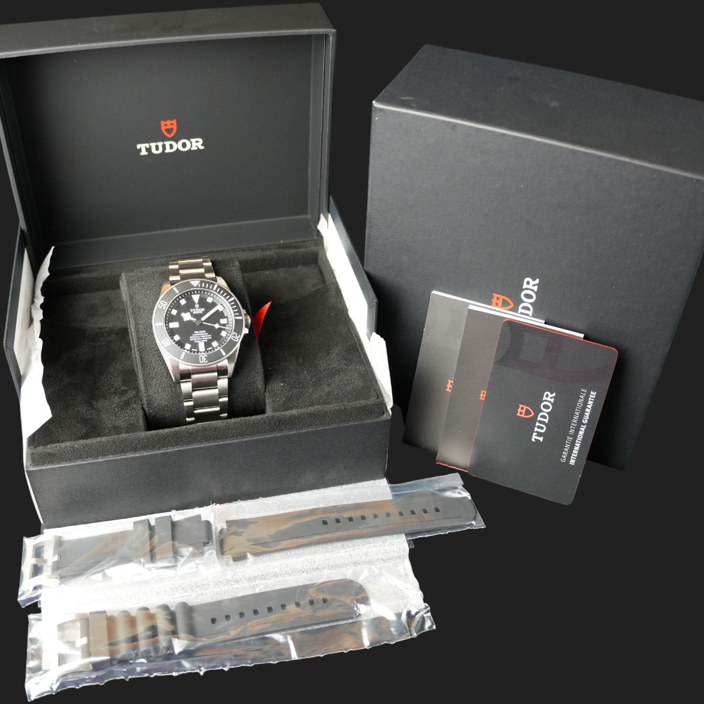 Tudor Pelagos 25600TN - (8/8)