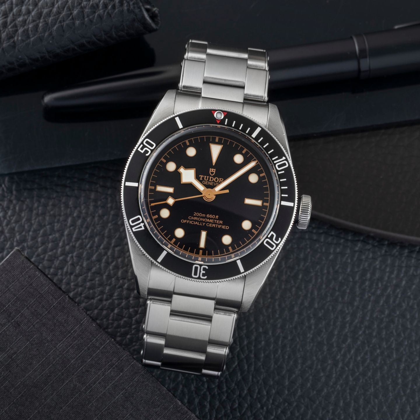 Tudor Black Bay 79230N - (1/8)