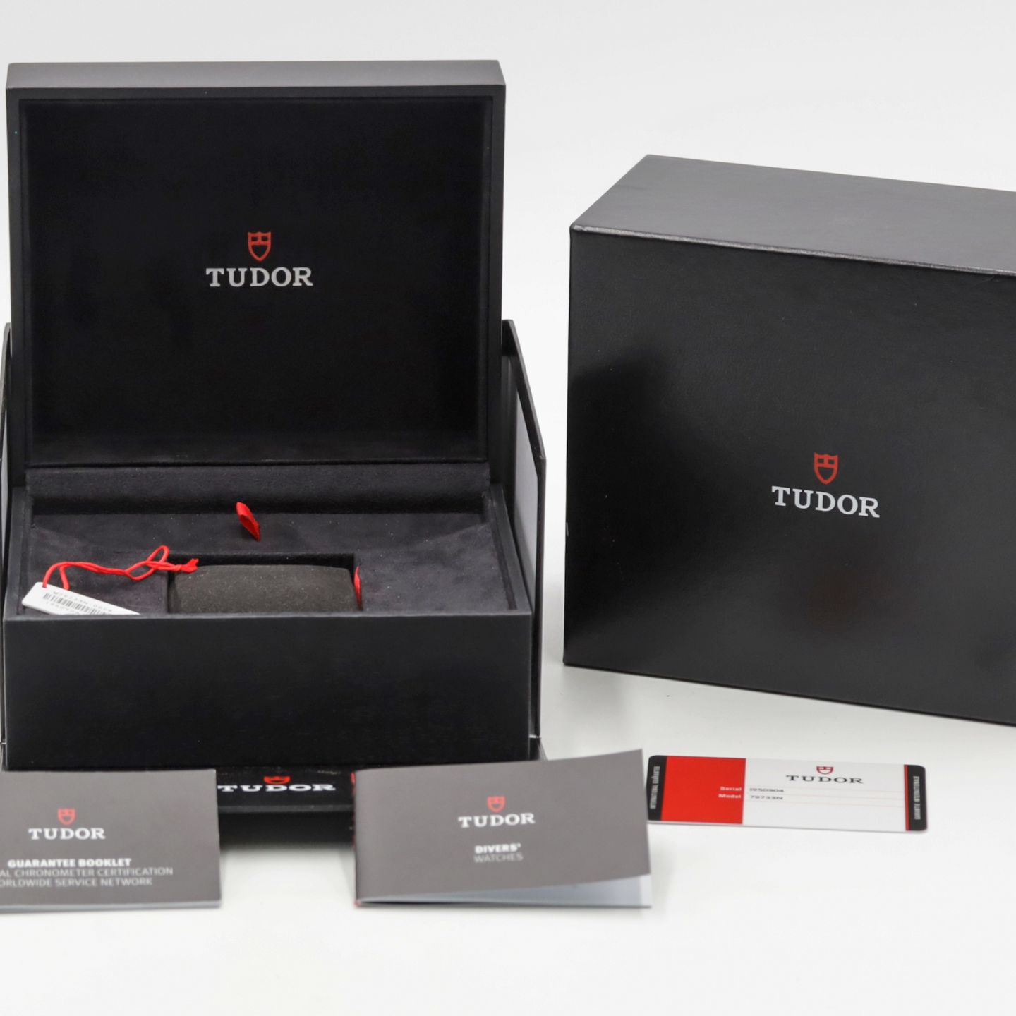 Tudor Black Bay S&G 79733N - (8/8)