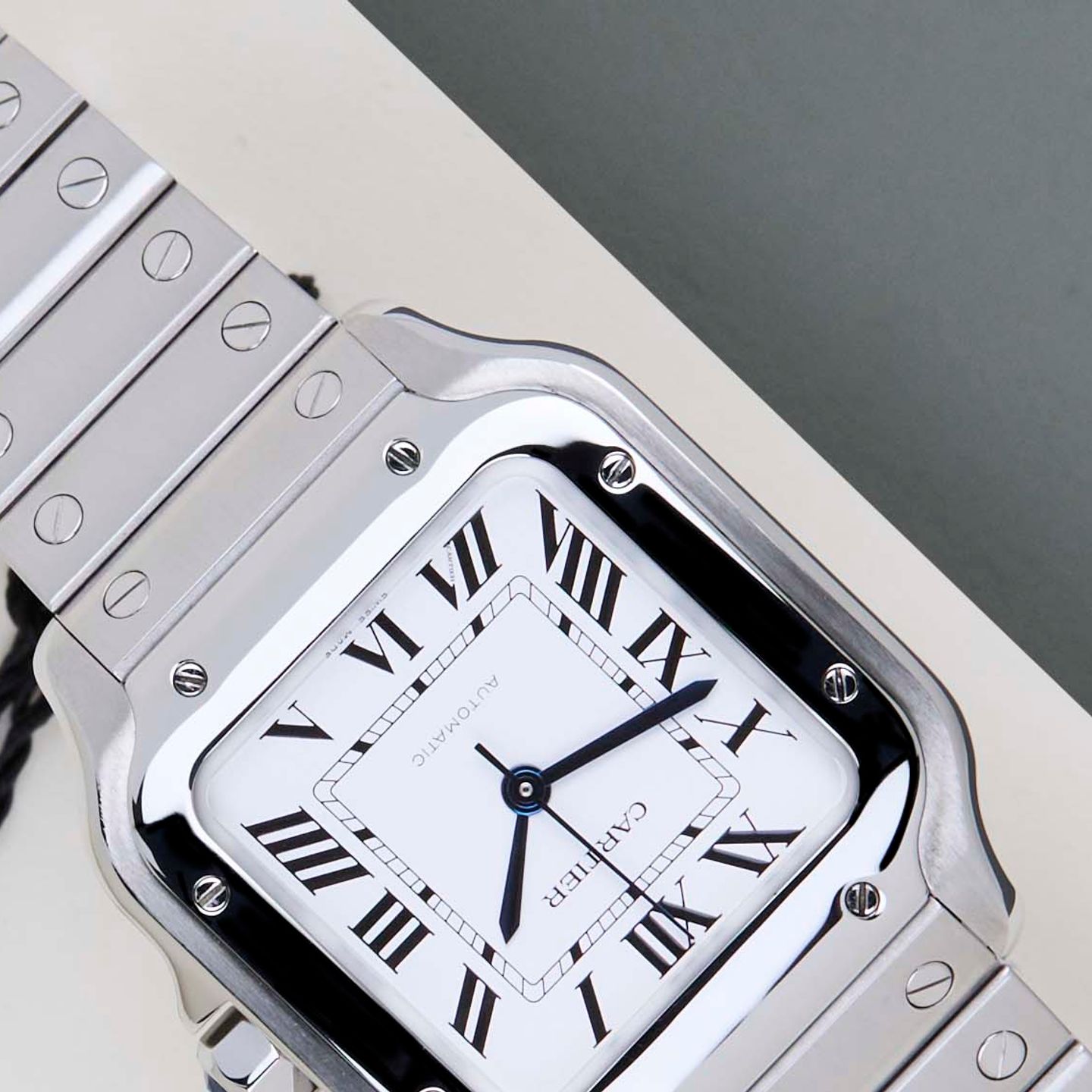Cartier Santos WSSA0029 - (4/8)