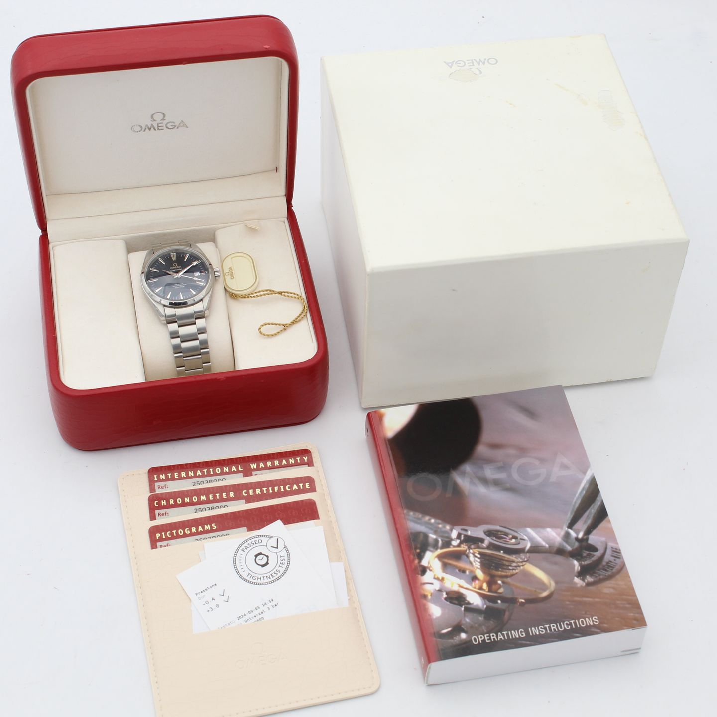 Omega Seamaster Aqua Terra 2503.80.00 - (8/8)