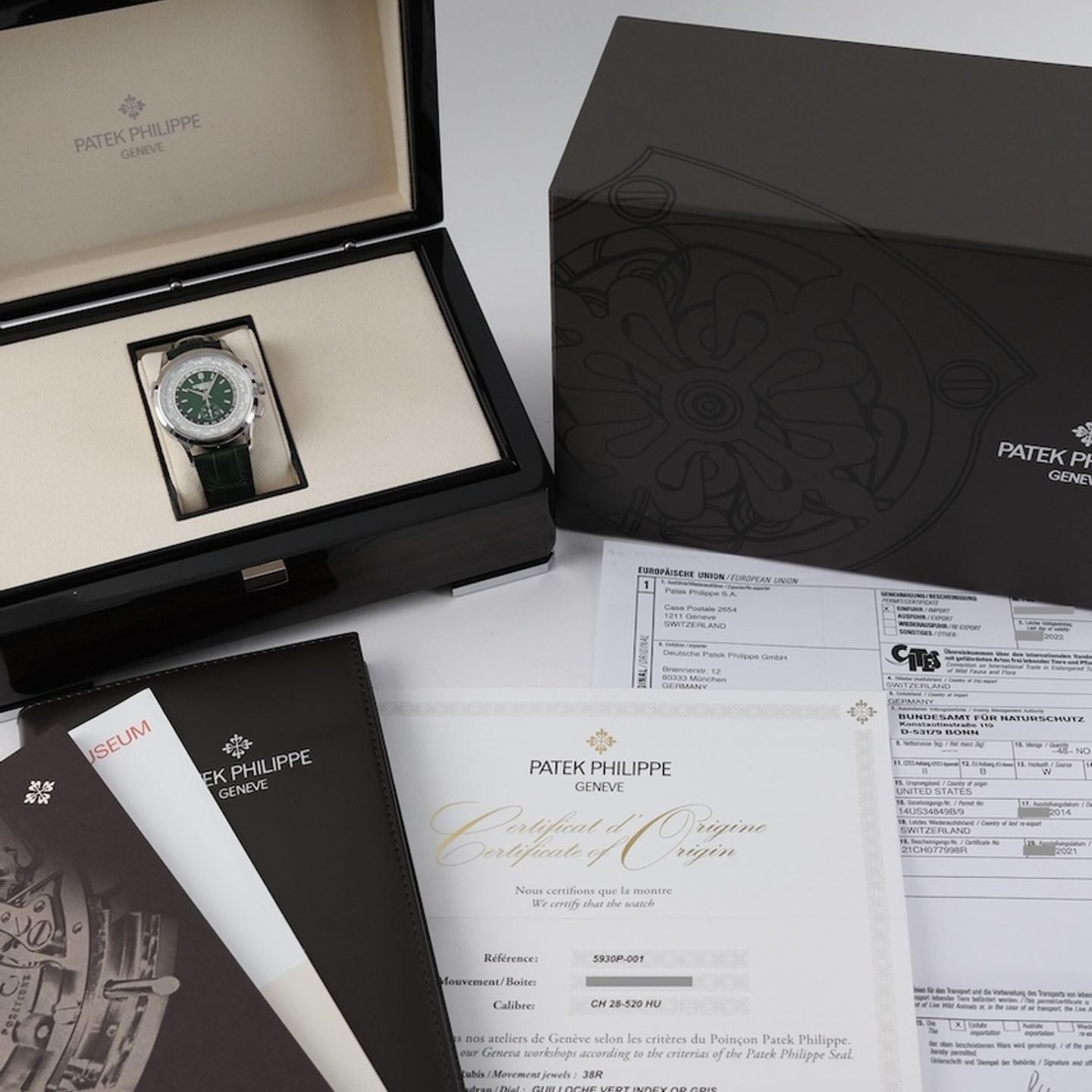 Patek Philippe World Time Chronograph 5930P-001 (2022) - Green dial 40 mm Platinum case (8/8)