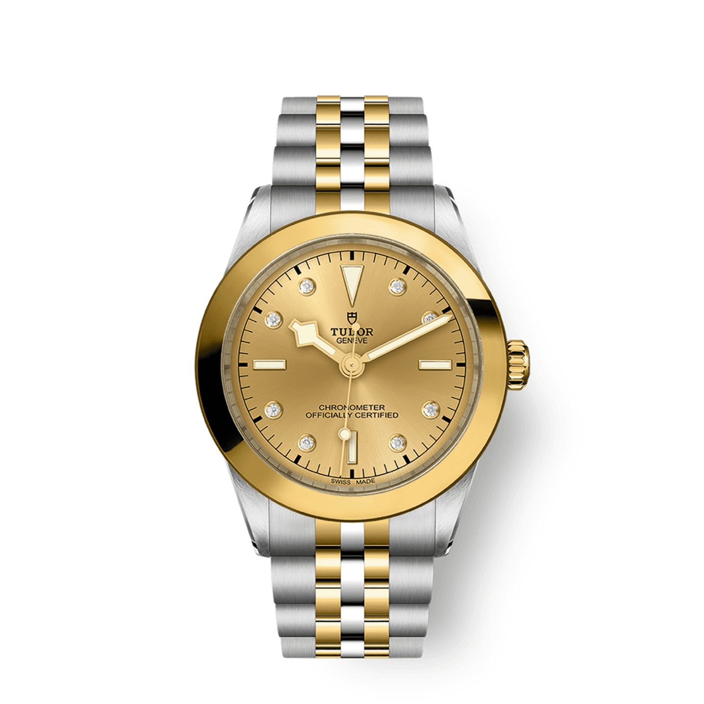 Tudor Black Bay S&G 79663 - (1/1)