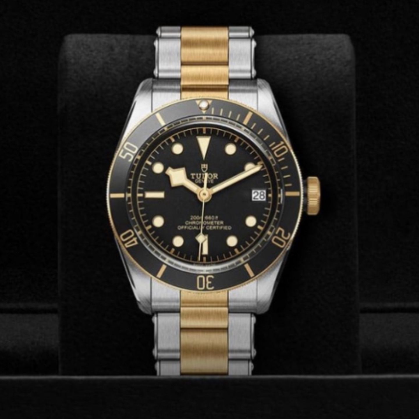 Tudor Black Bay S&G 79233N - (1/1)