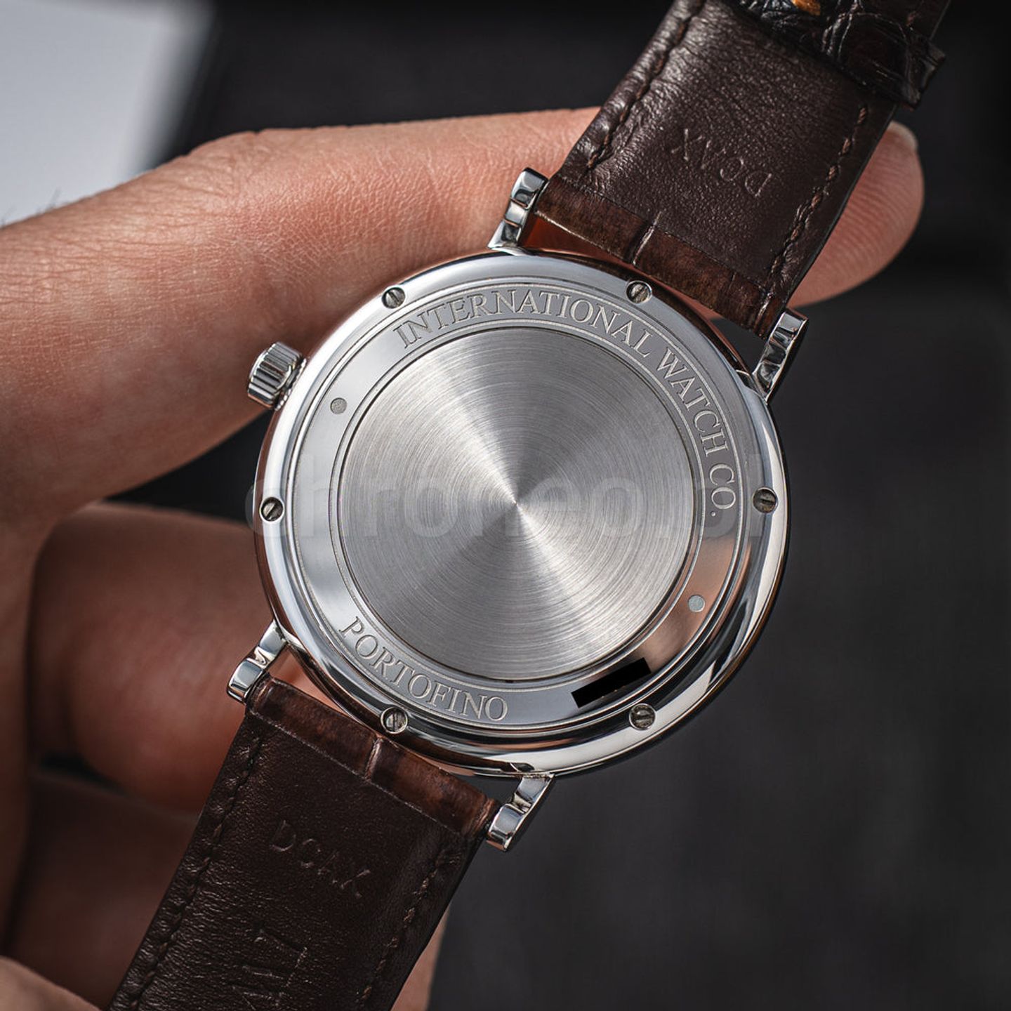 Unknown Unknown W356505 (2022) - (6/8)