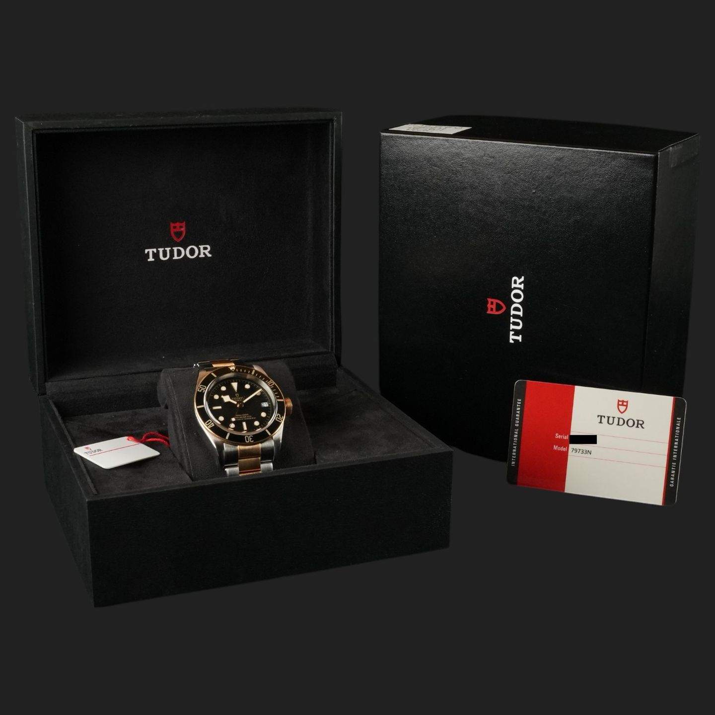 Tudor Black Bay S&G 79733N - (8/8)