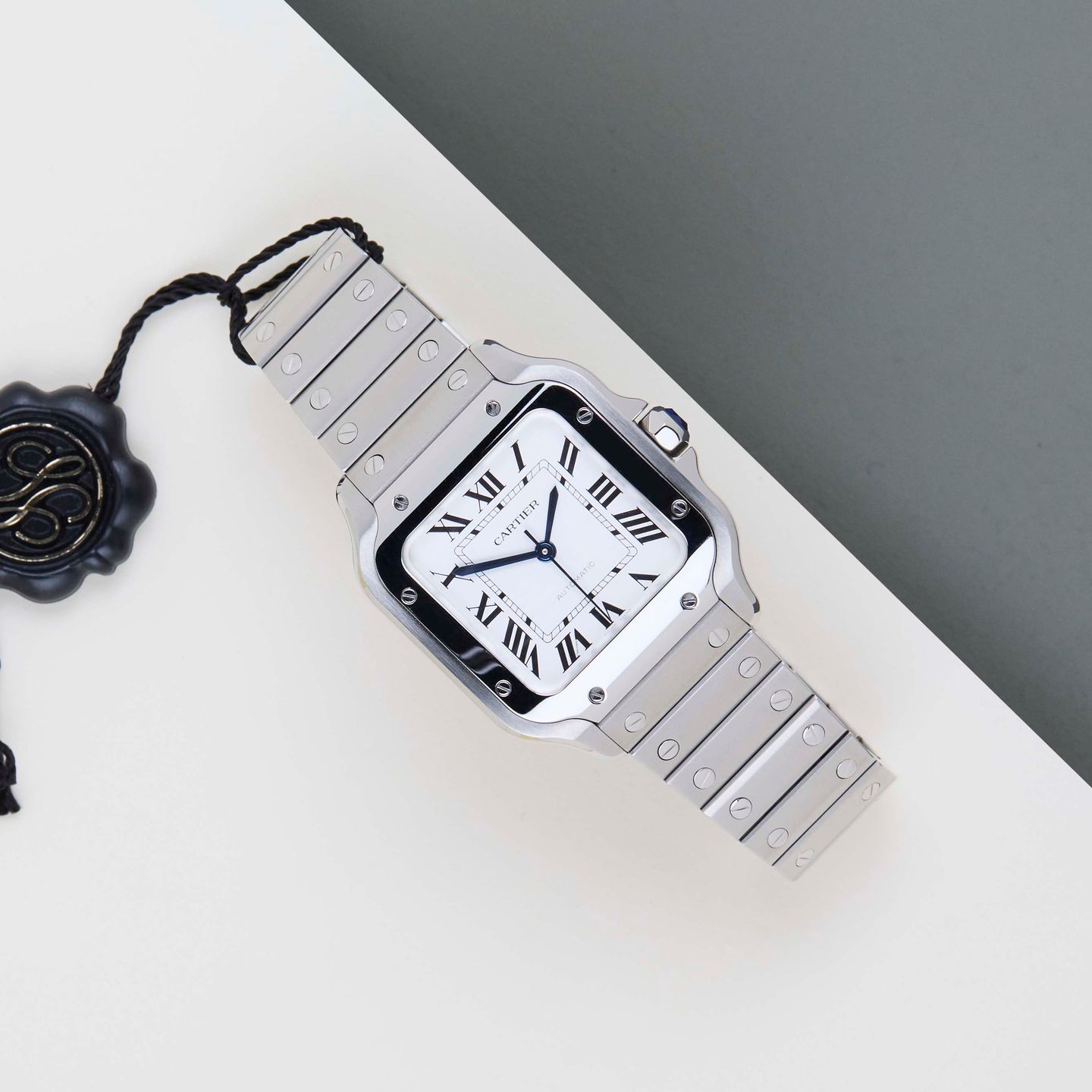 Cartier Santos WSSA0029 - (2/8)