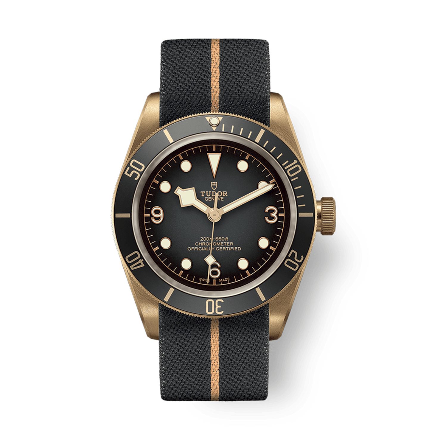 Tudor Black Bay Bronze 79250BA (2025) - Grey dial 43 mm Bronze case (1/1)