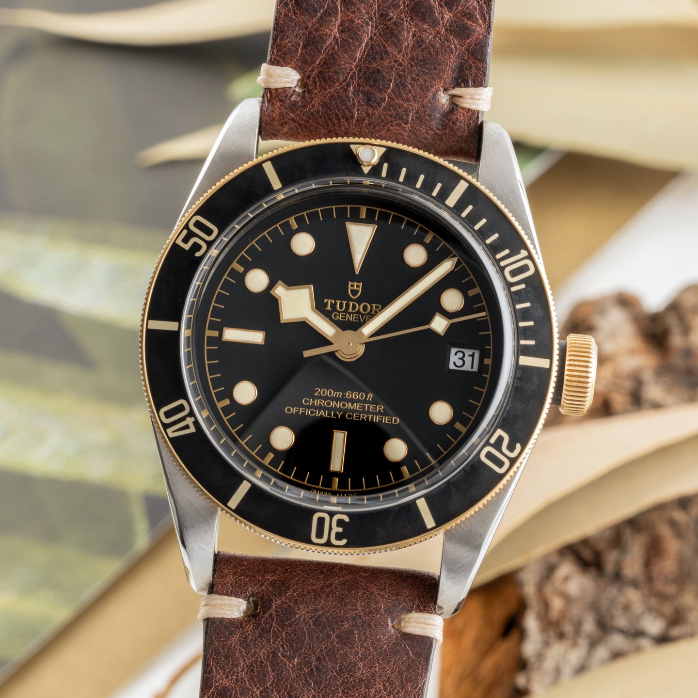 Tudor Black Bay S&G 79733N - (3/8)