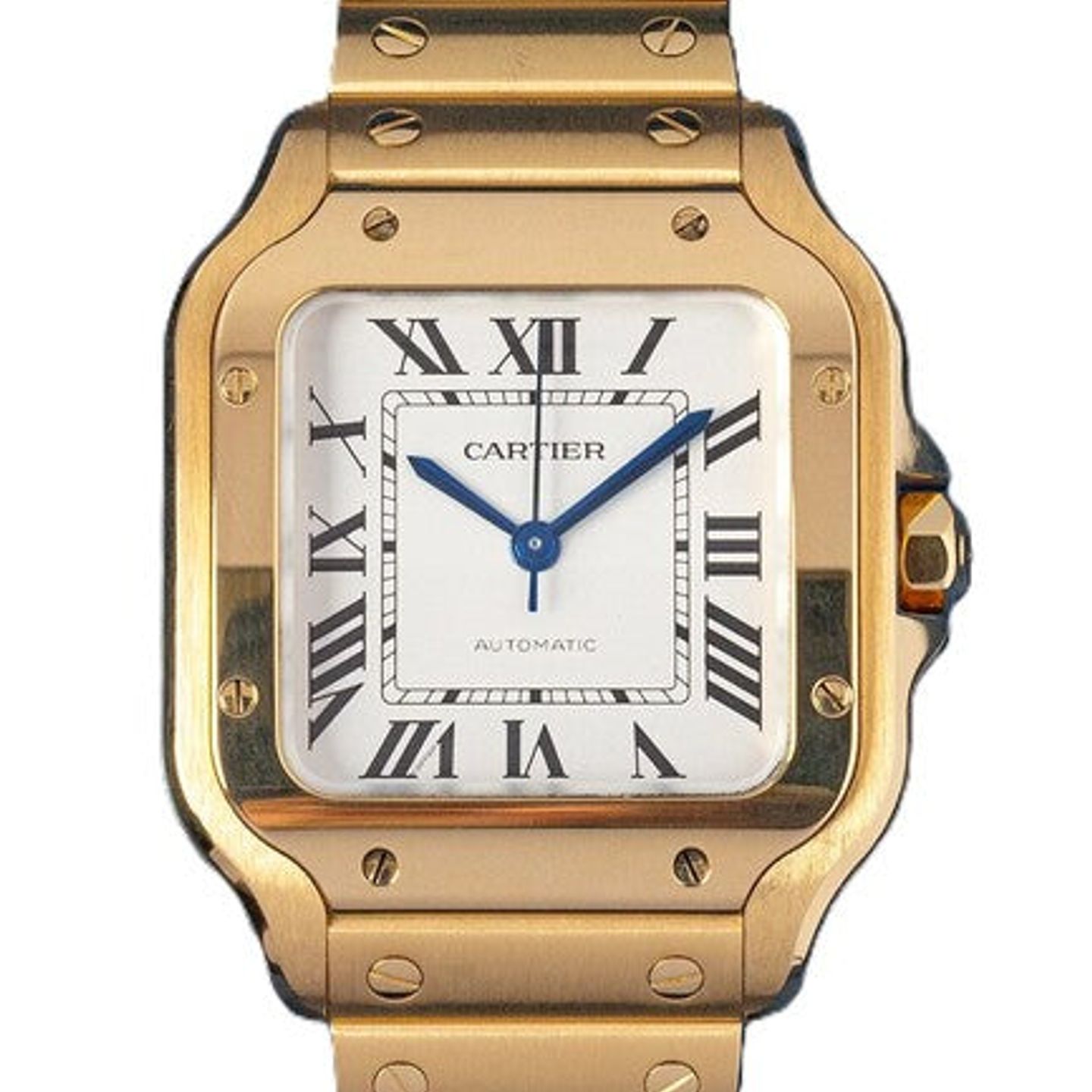 Cartier Santos WGSA0030 - (1/1)