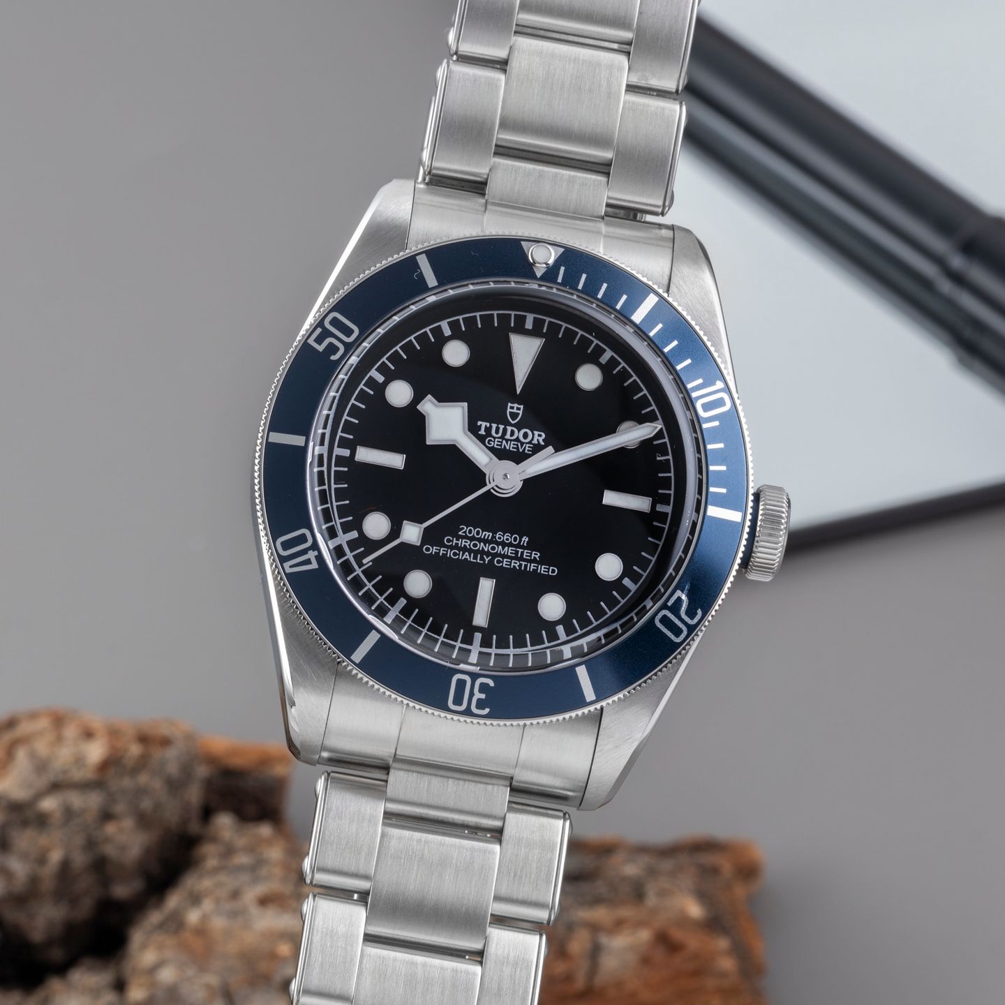 Tudor Black Bay 79230B - (3/8)