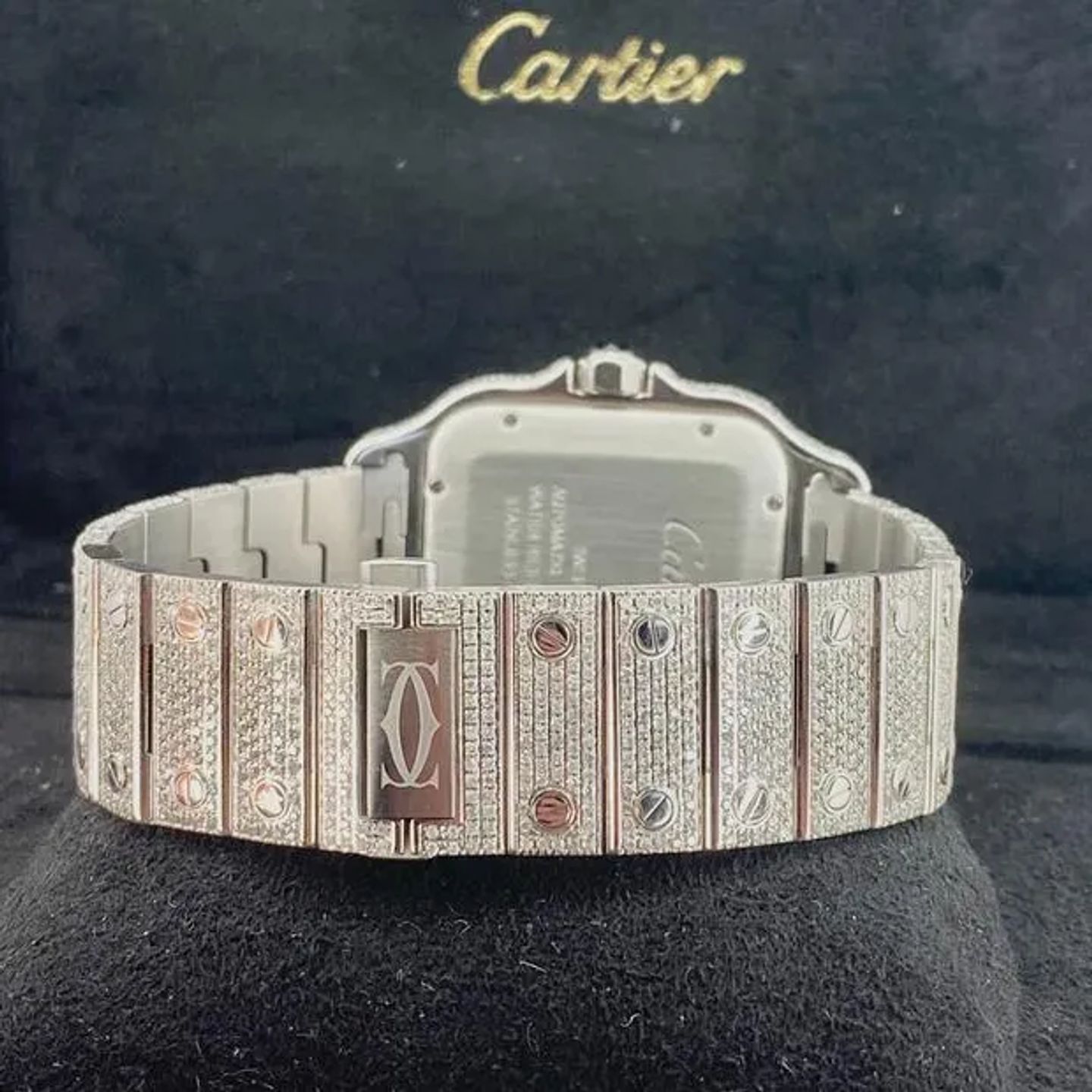 Cartier Santos 100 WSSA0006 - (3/6)