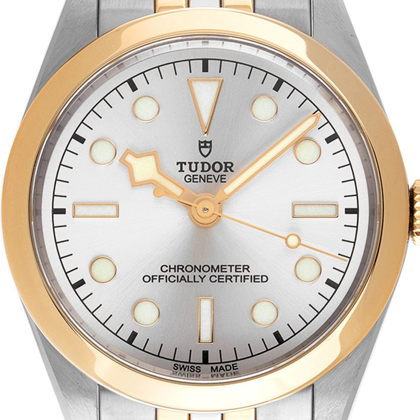 Tudor Black Bay S&G 79683 - (1/7)