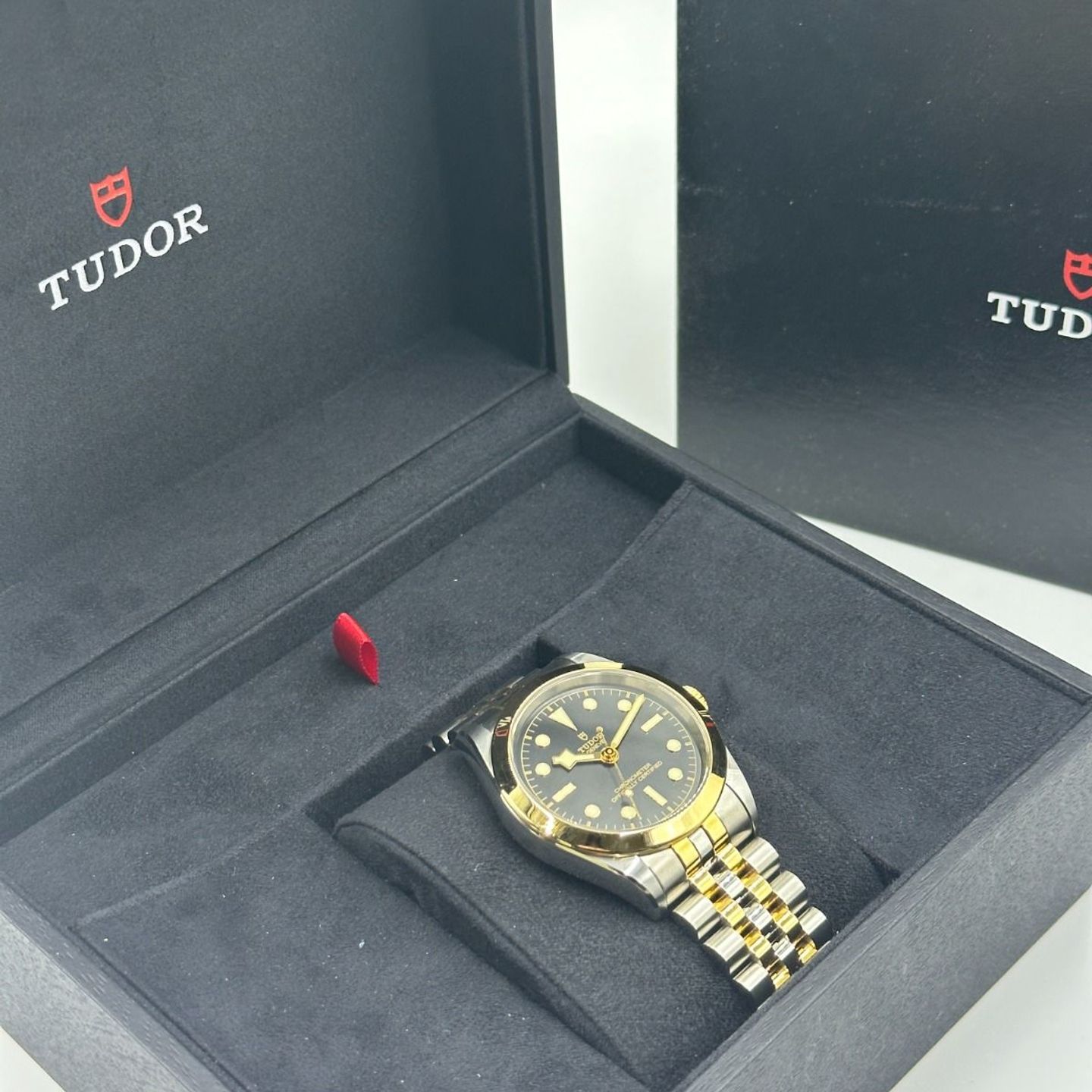 Tudor Black Bay S&G 79663-0001 - (3/8)