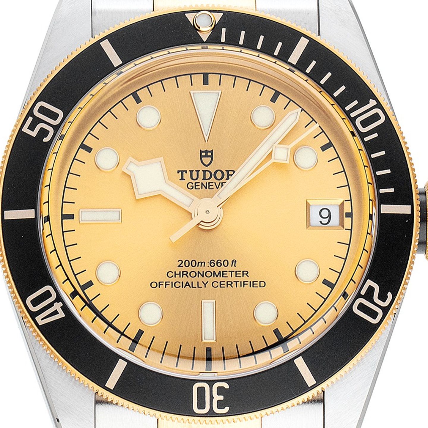 Tudor Black Bay S&G 79733N (2019) - Champagne dial 41 mm Steel case (1/7)