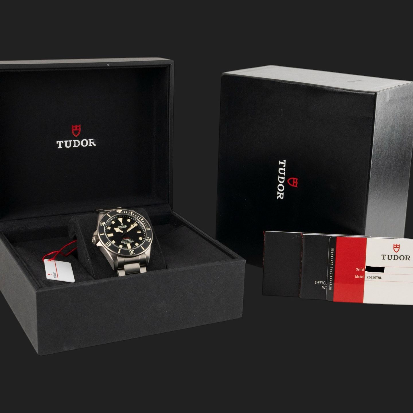 Tudor Pelagos 25610TNL (2019) - 42mm Titanium (8/8)
