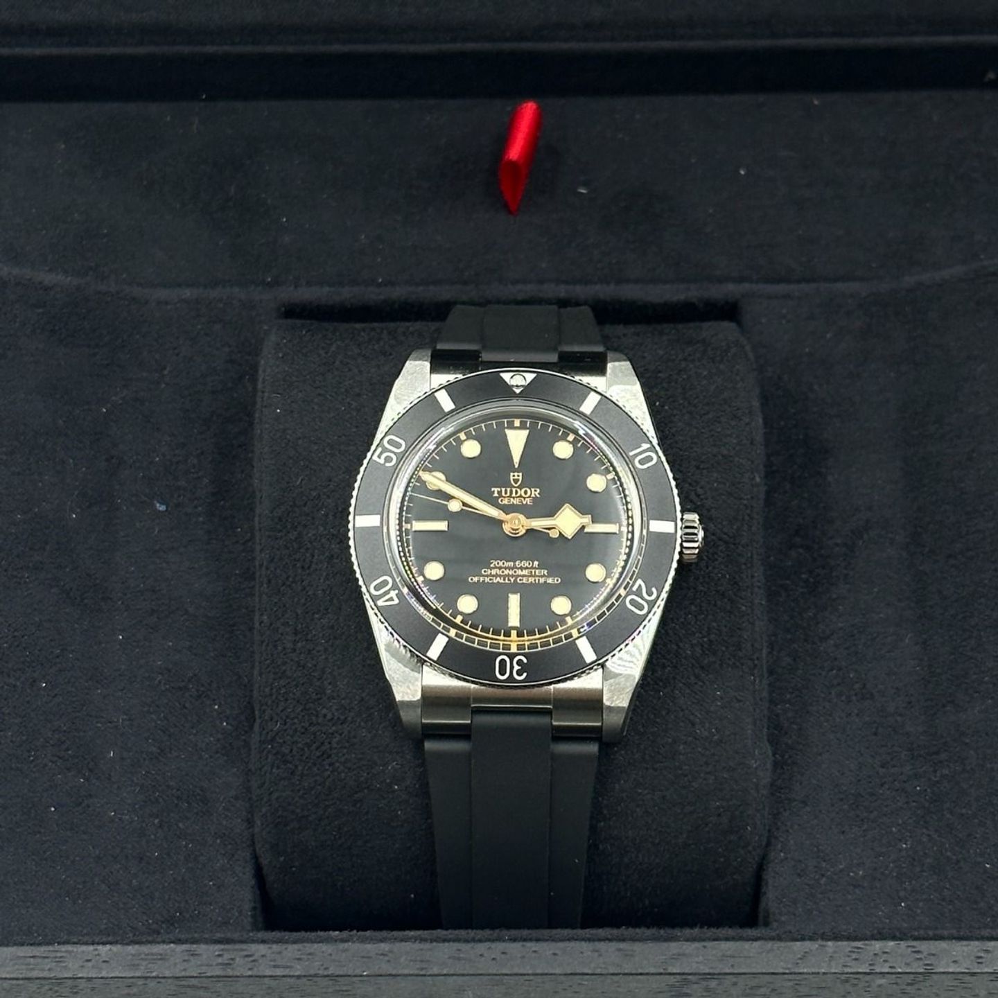 Tudor Black Bay 54 79000N-0002 - (5/8)