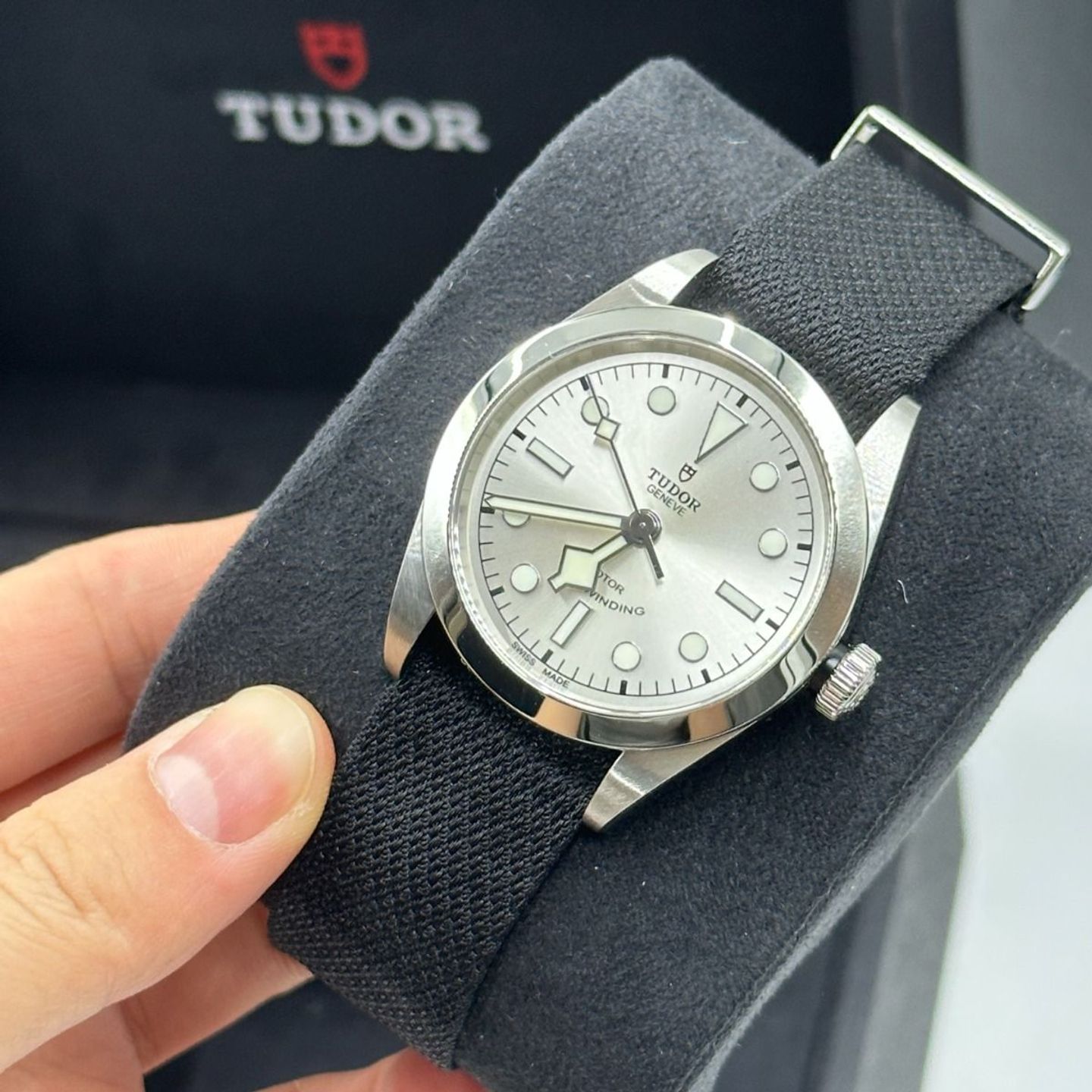 Tudor Black Bay 36 79500-0014 - (7/8)