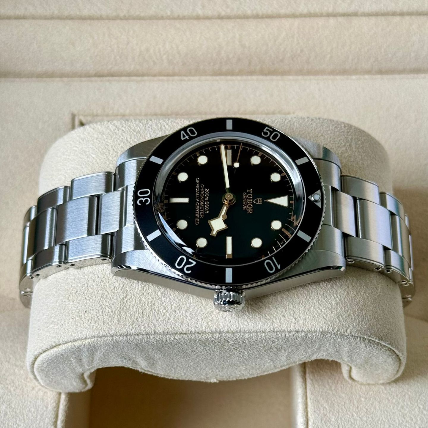 Tudor Black Bay 54 79000N - (4/7)