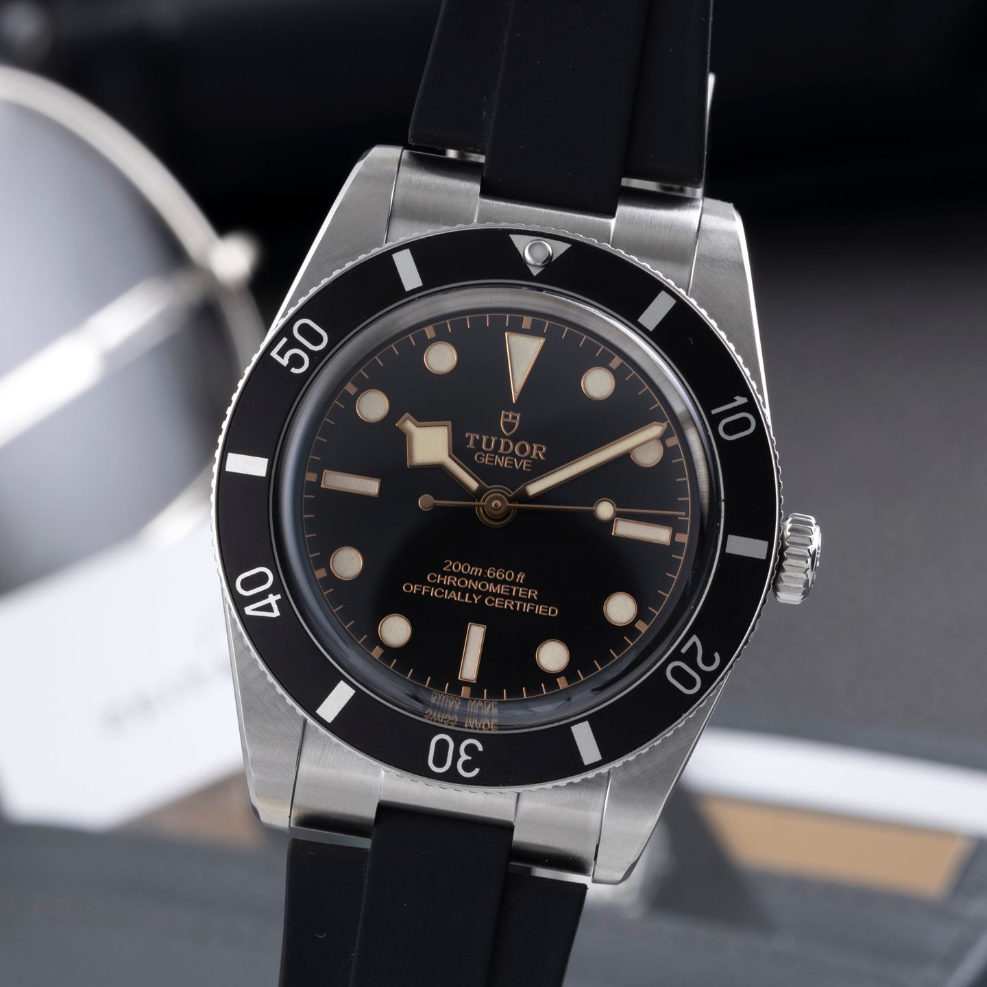Tudor Black Bay 54 79000N - (3/8)