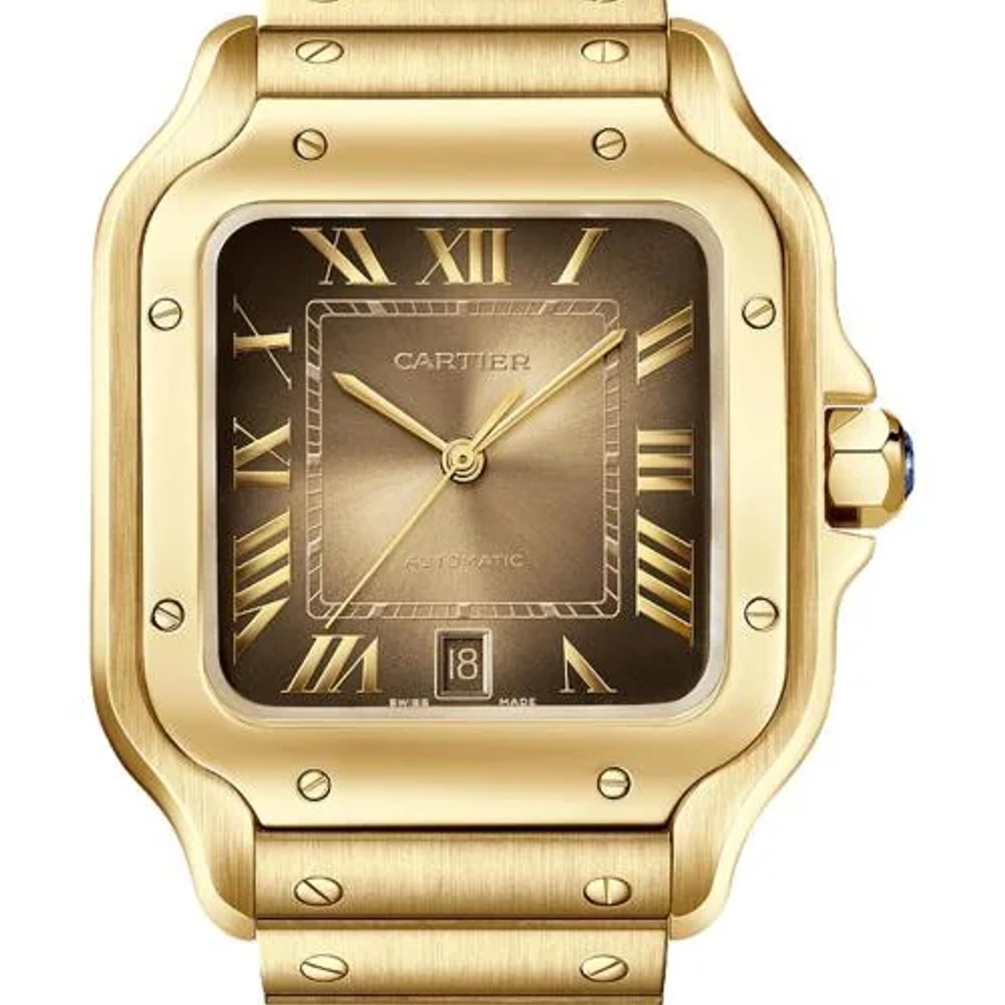 Cartier Santos WGSA0095 (2026) - Goud wijzerplaat 40mm Geelgoud (1/1)