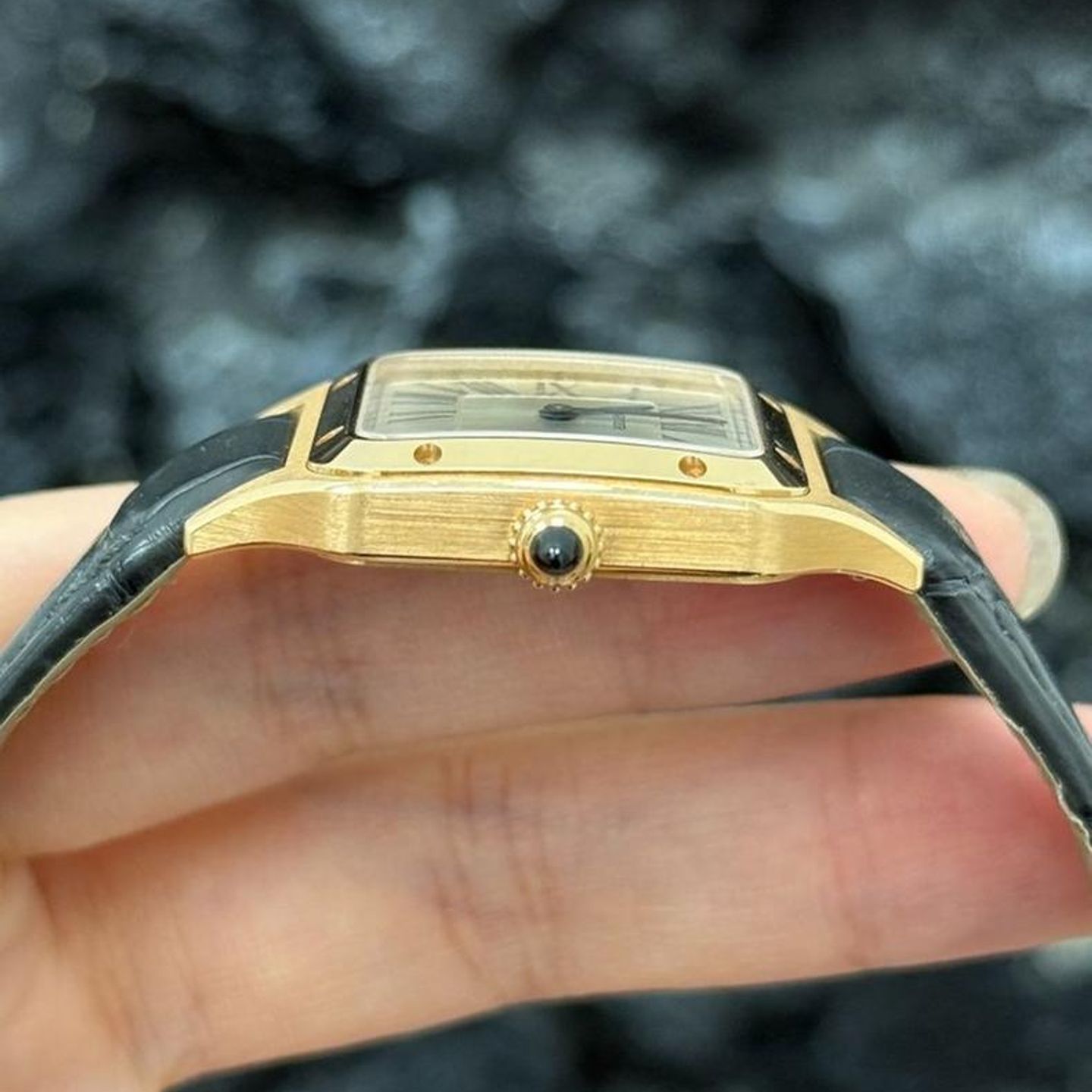 Cartier Santos Dumont WGSA0022 - (2/6)