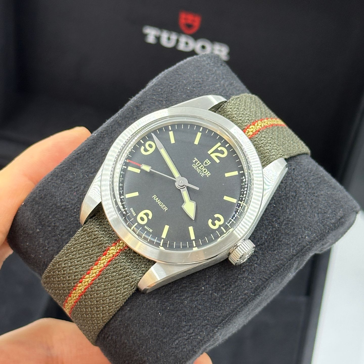 Tudor Ranger 79950 - (4/8)