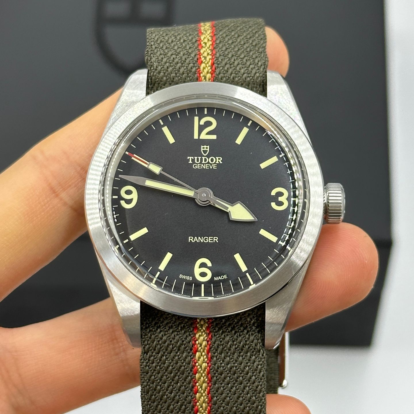 Tudor Ranger 79950 - (6/8)