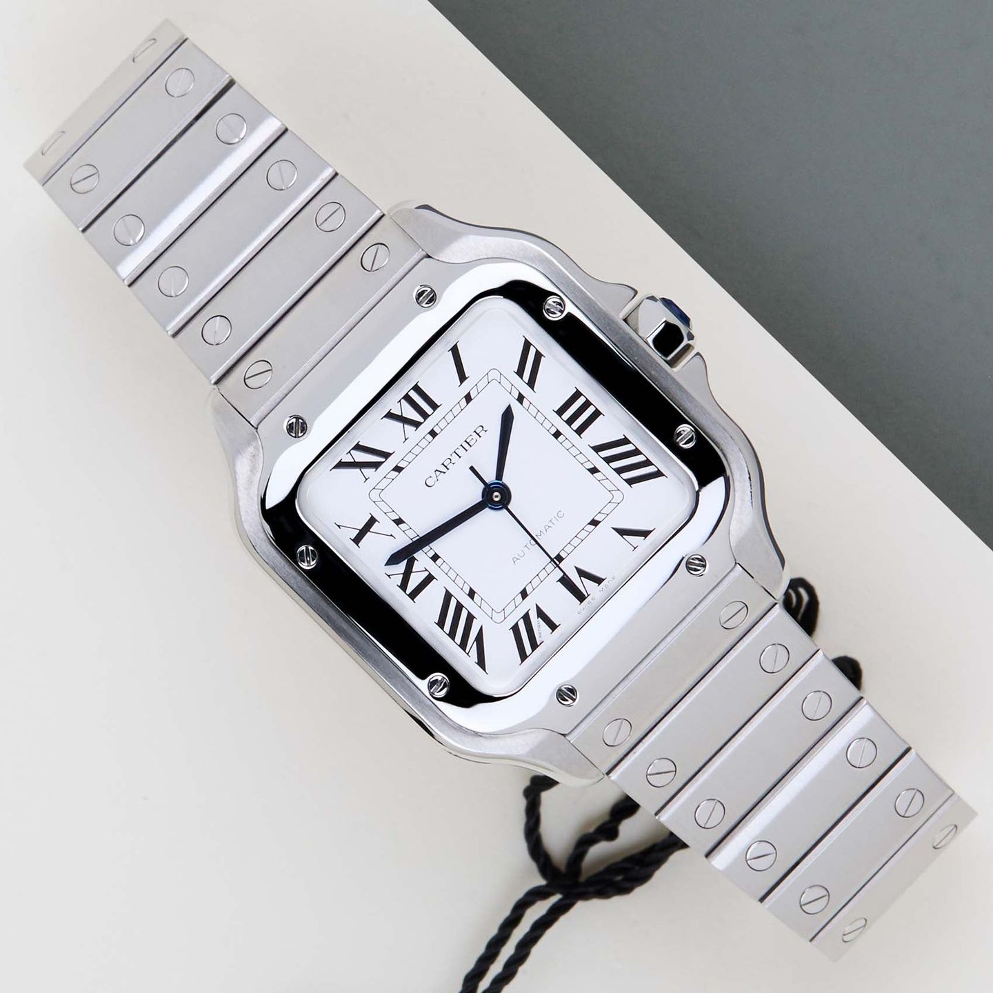 Cartier Santos WSSA0029 - (1/8)