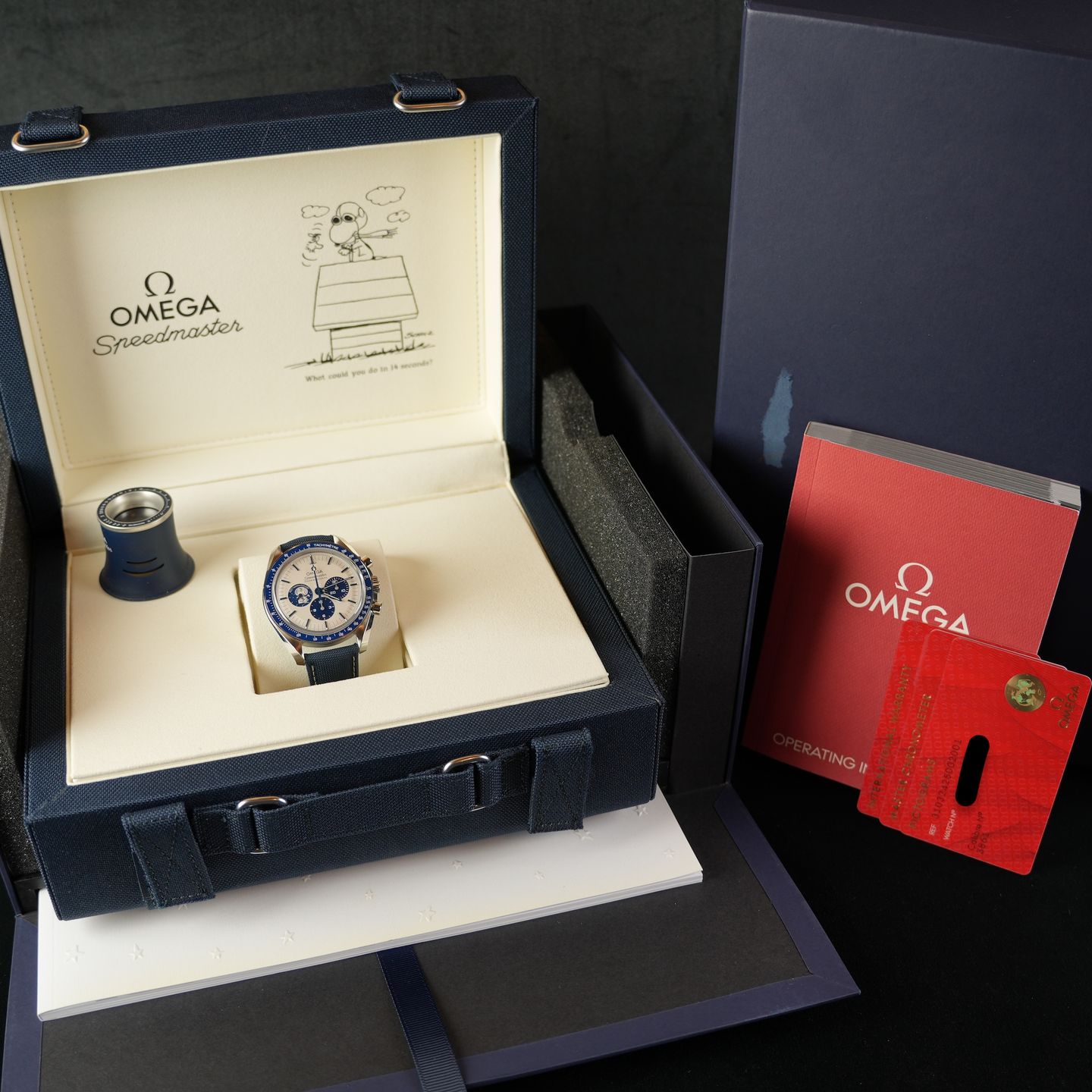 Omega Speedmaster Professional Moonwatch 310.32.42.50.02.001 - (8/8)