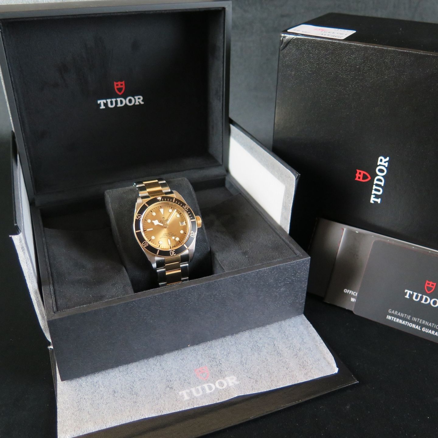 Tudor Black Bay S&G 79733N - (8/8)