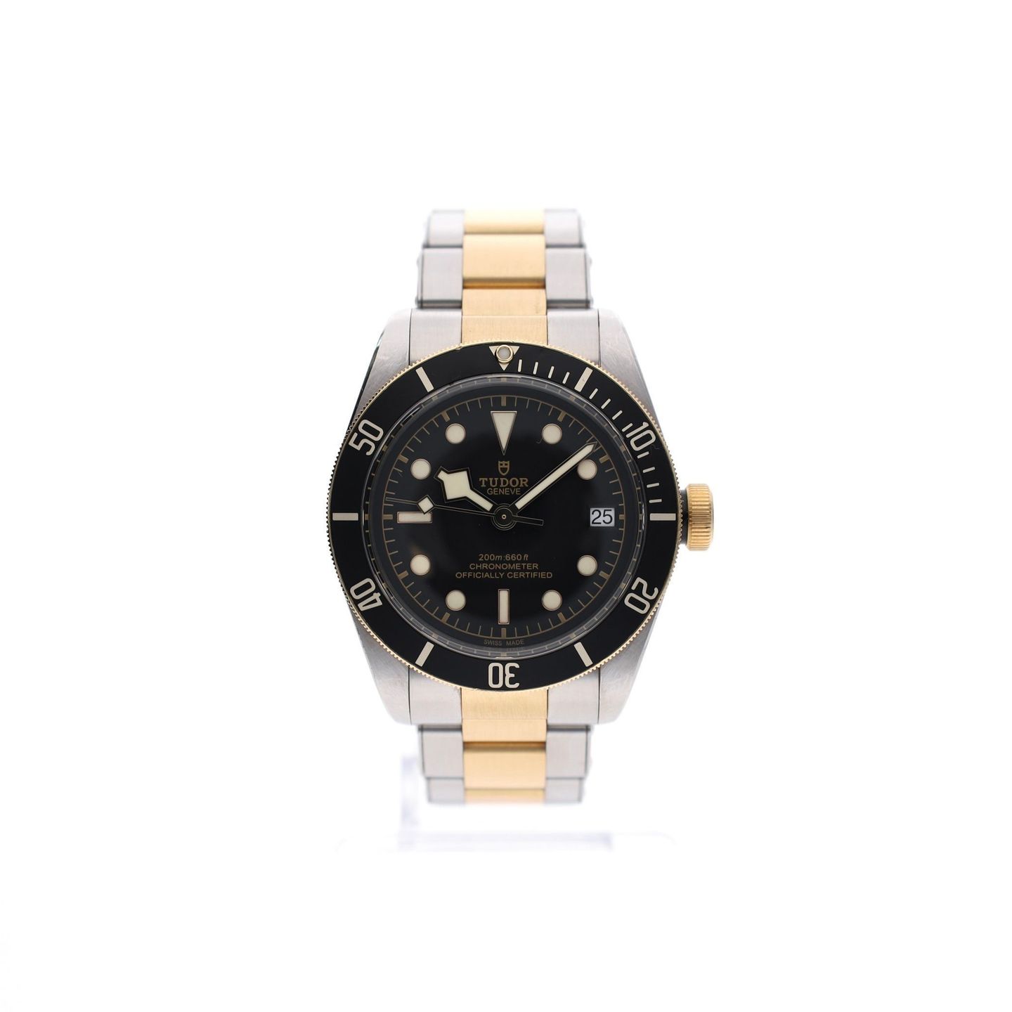 Tudor Black Bay S&G 79733N - (1/8)