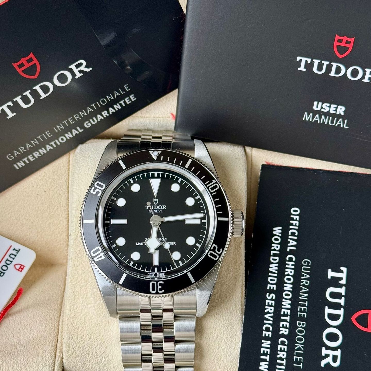 Tudor Black Bay 7941A1A0NU - (7/7)