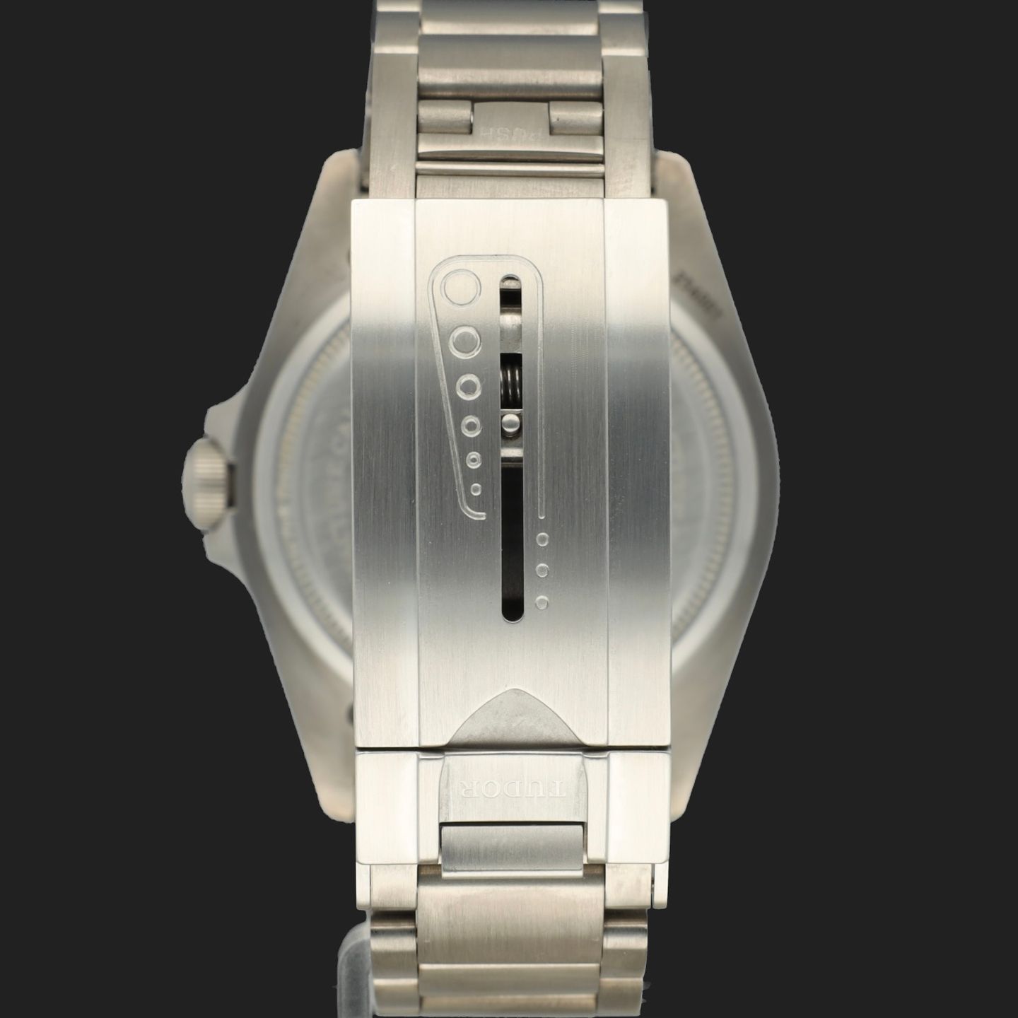 Tudor Pelagos 25600TN - (6/8)