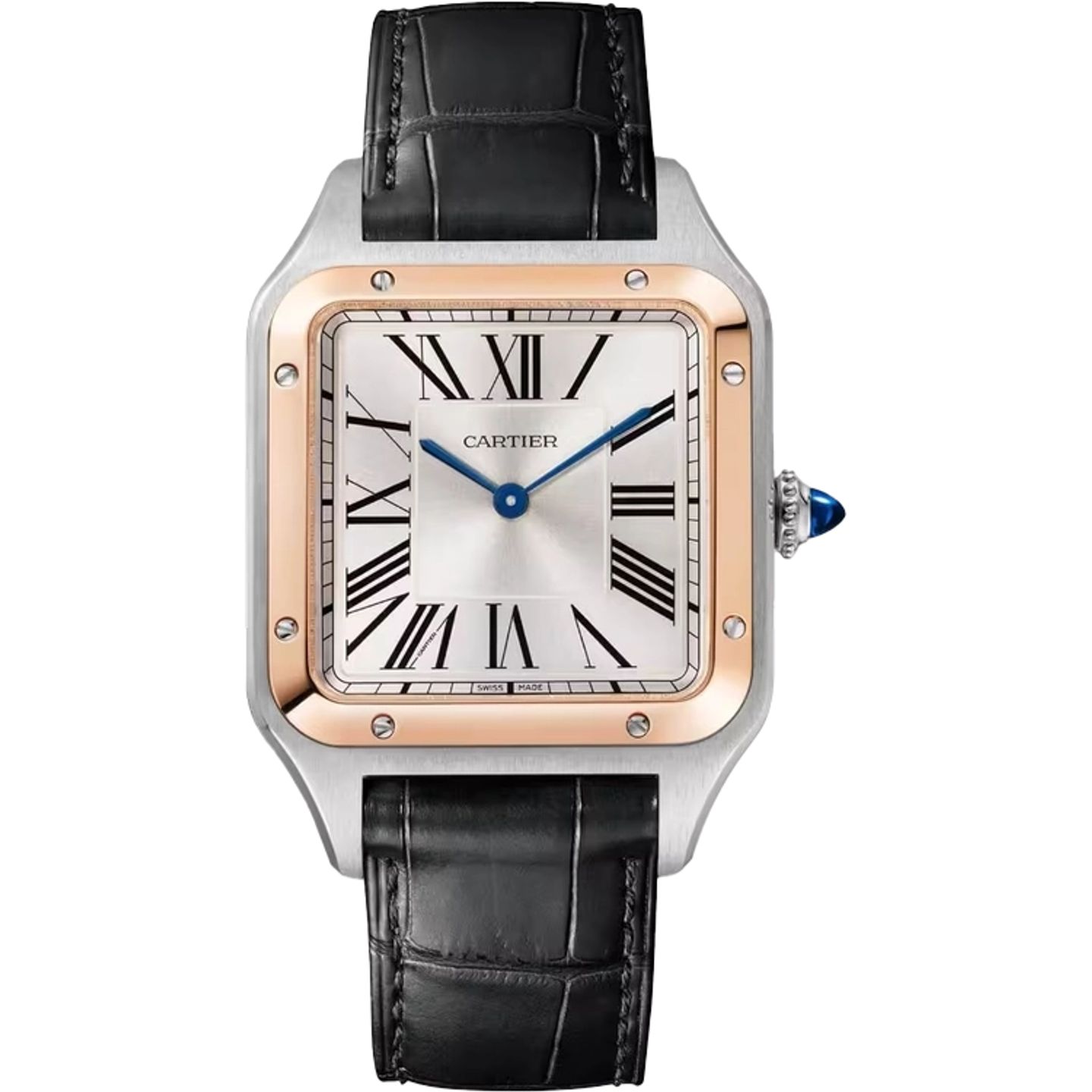 Cartier Santos Dumont W2SA0037 (2025) - Silver dial 31 mm Steel case (1/1)
