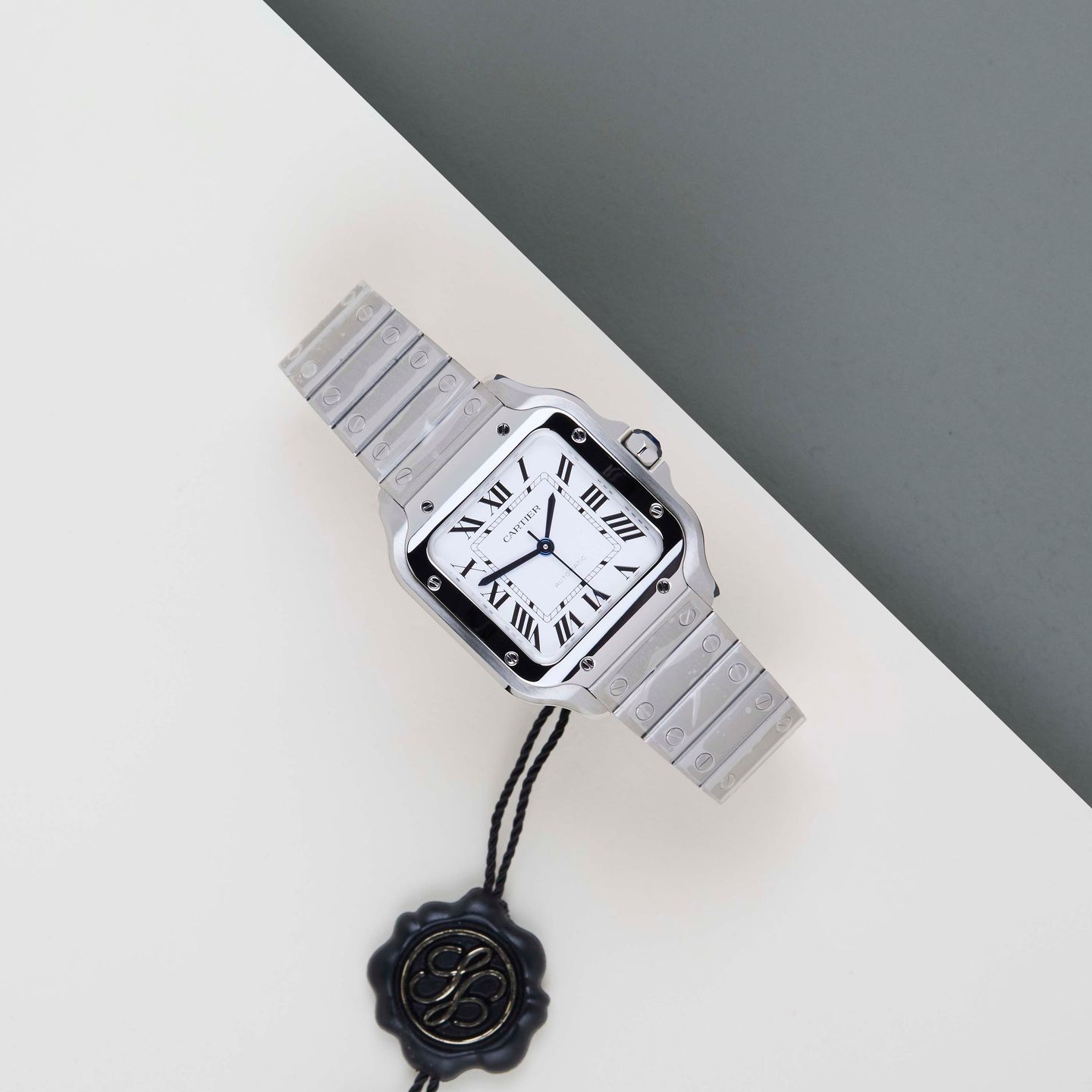 Cartier Santos WSSA0029 - (2/8)